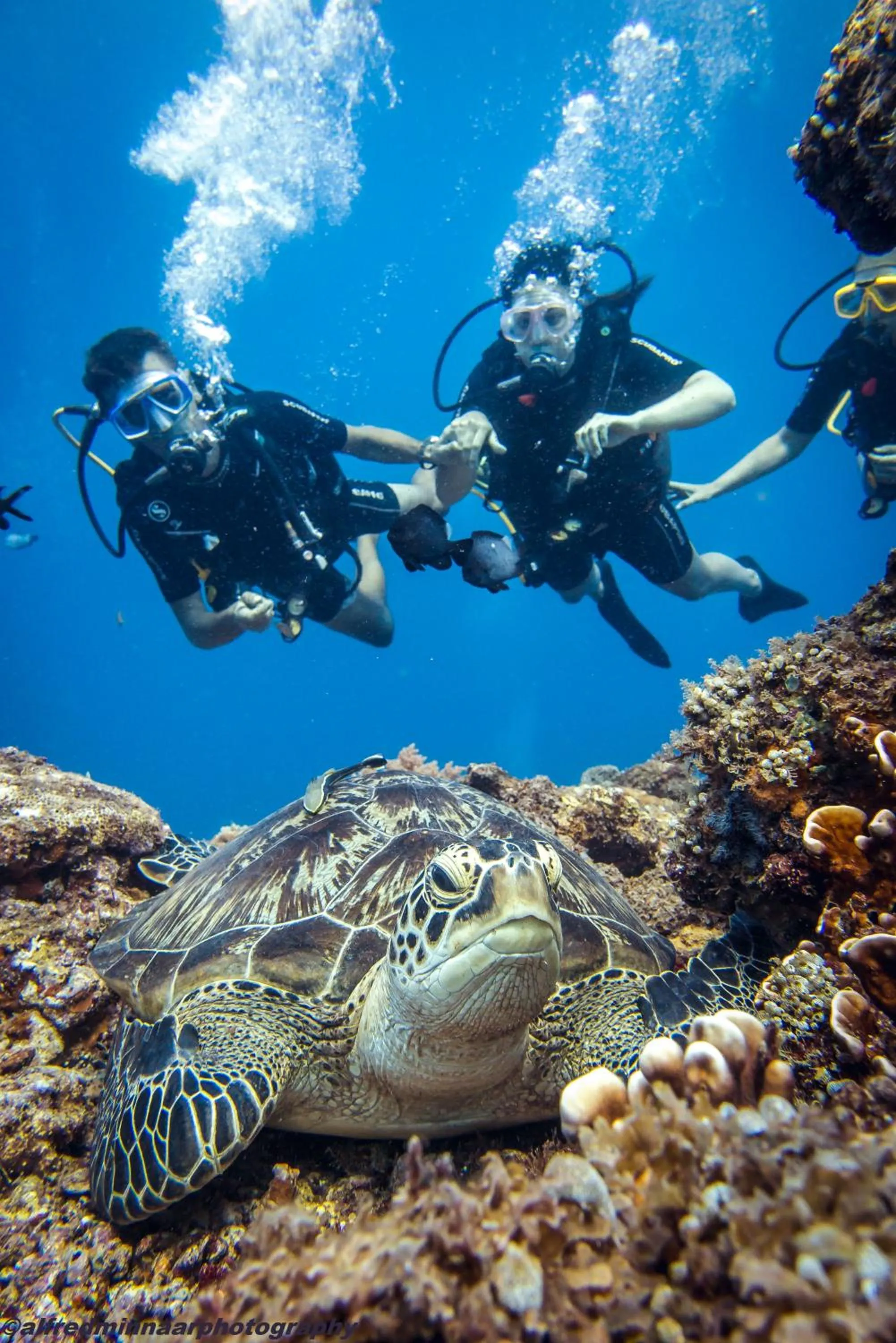 Off site in Coconut Garden Resort