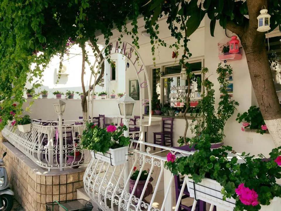 Property building in Agan Pension