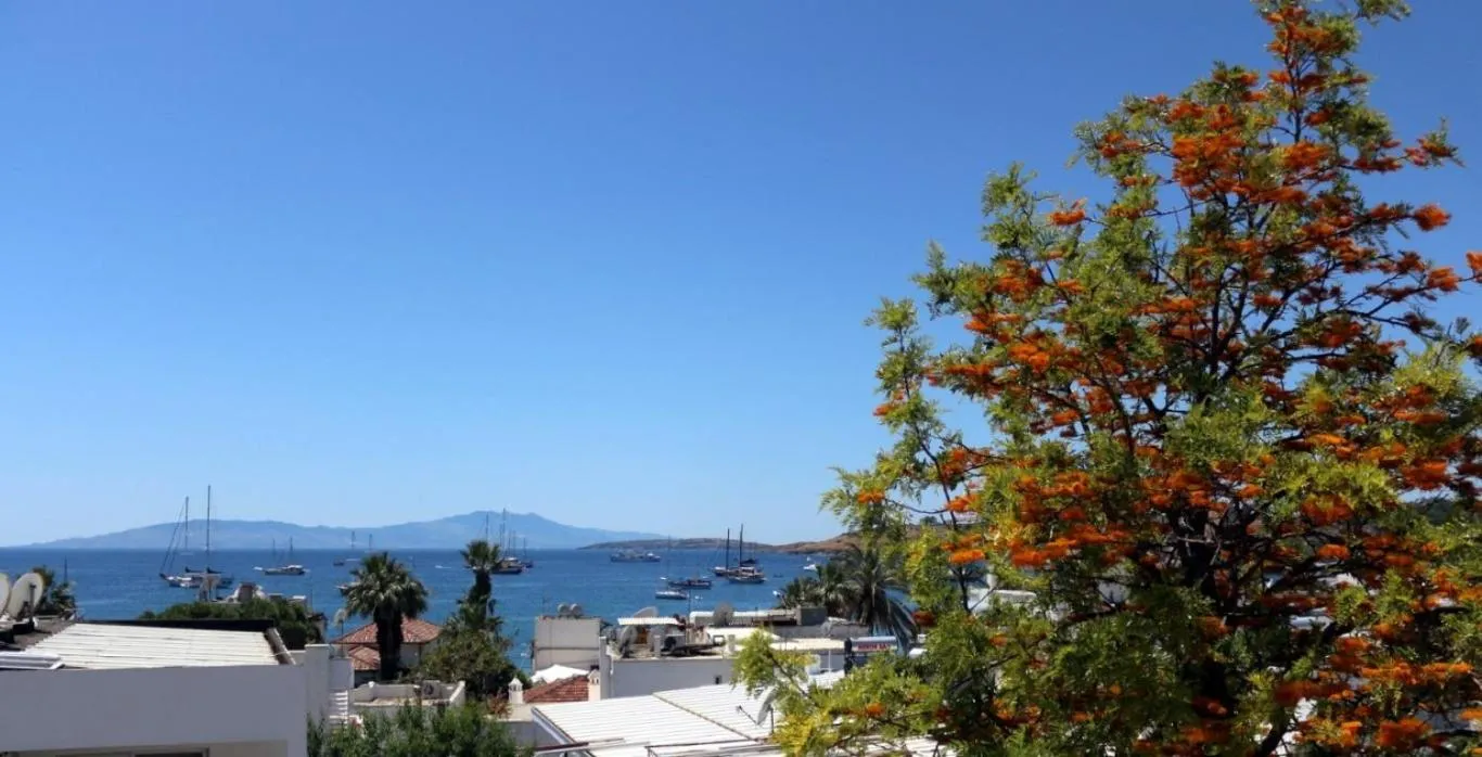 Sea view in Agan Pension