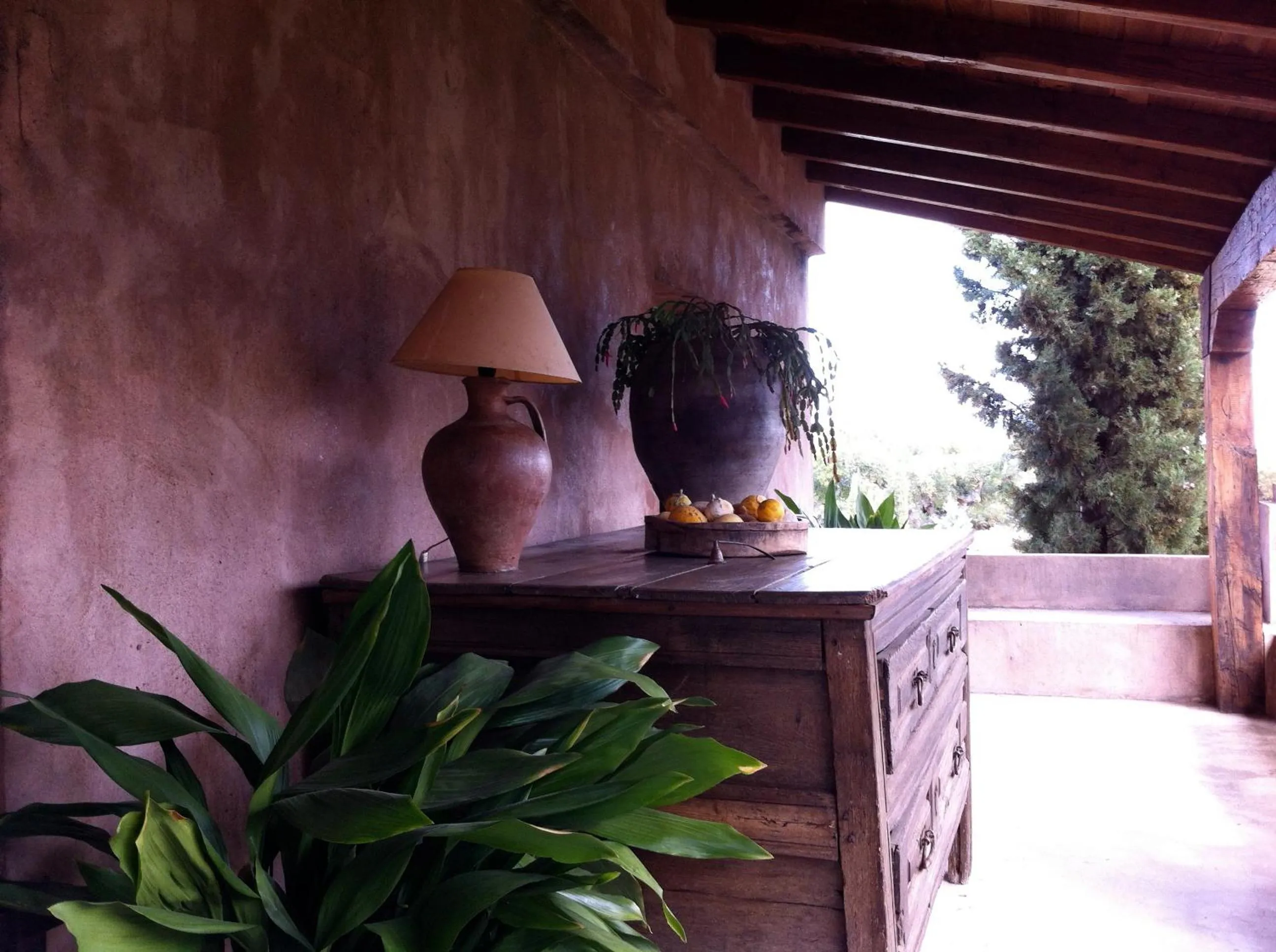 Garden in Finca El Cortiñal