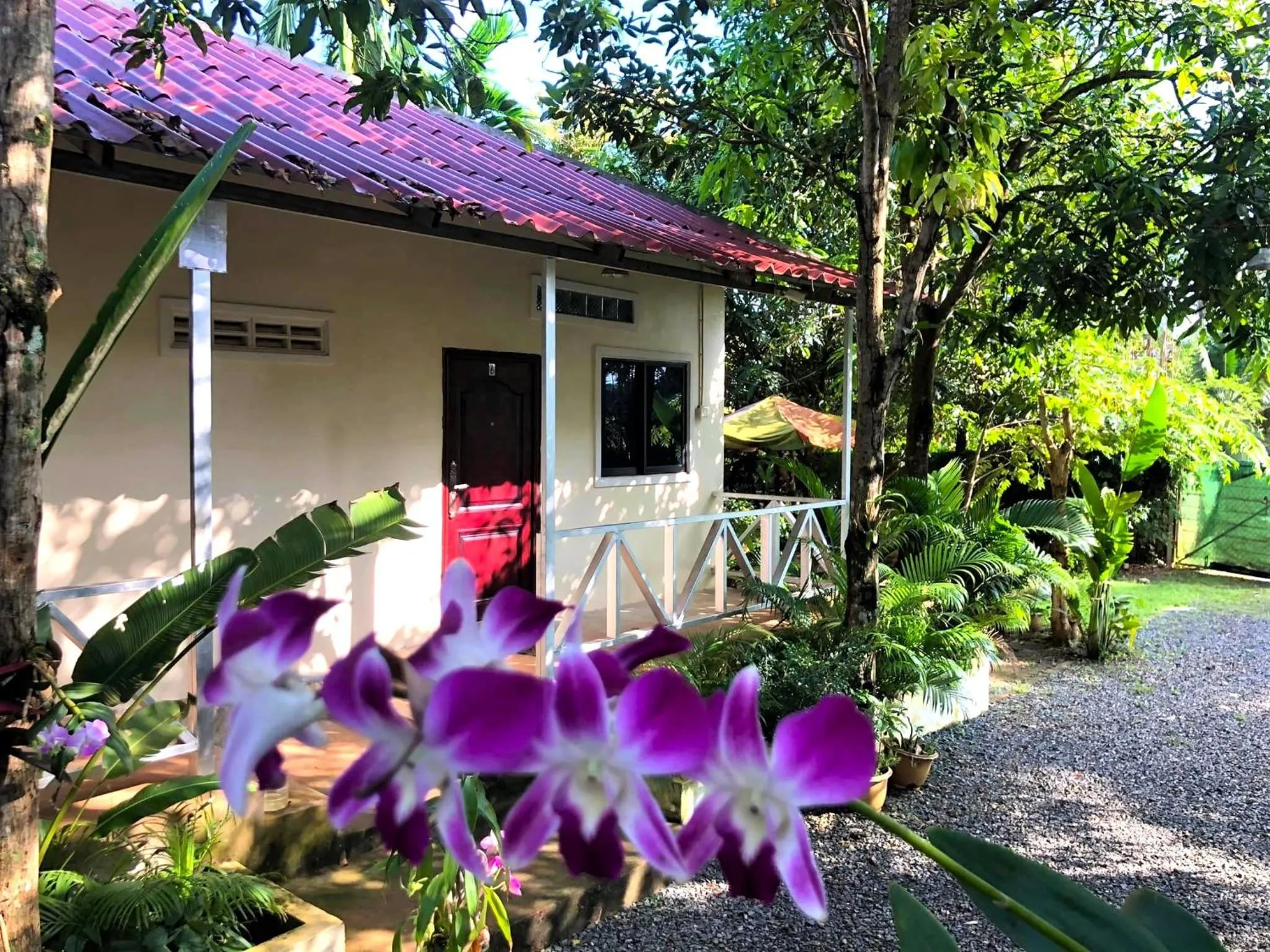 Garden in Green Mango Bungalows