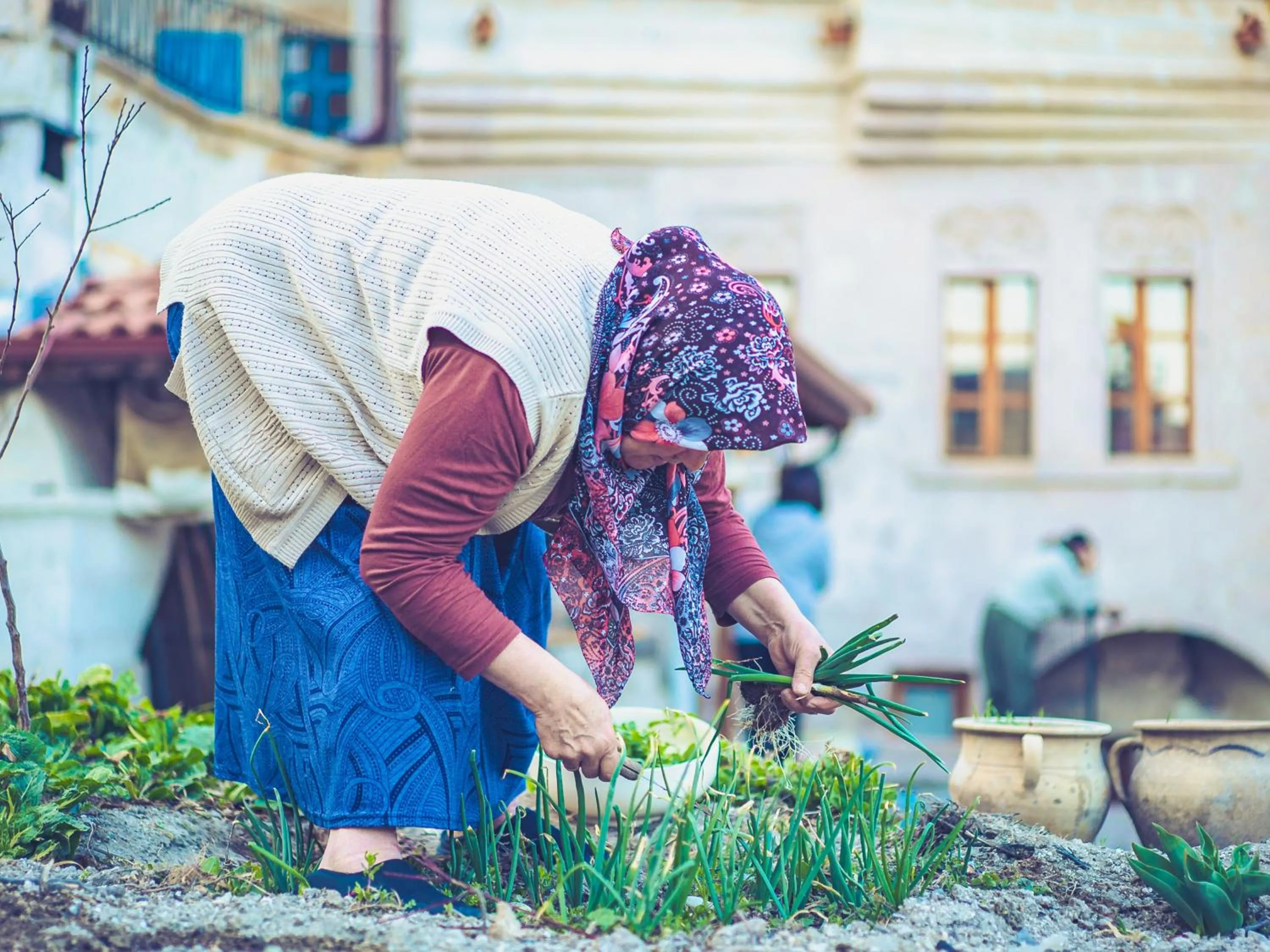 Day in Atilla's Cave Hotel
