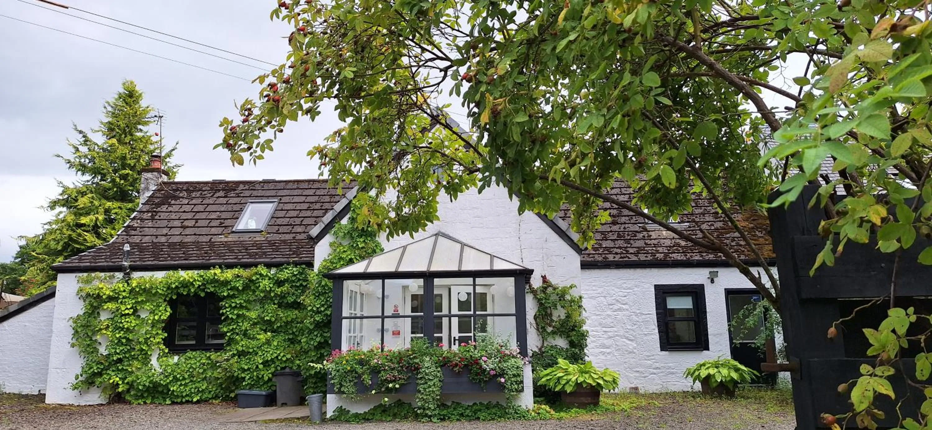 Property building in Lochend Chalets