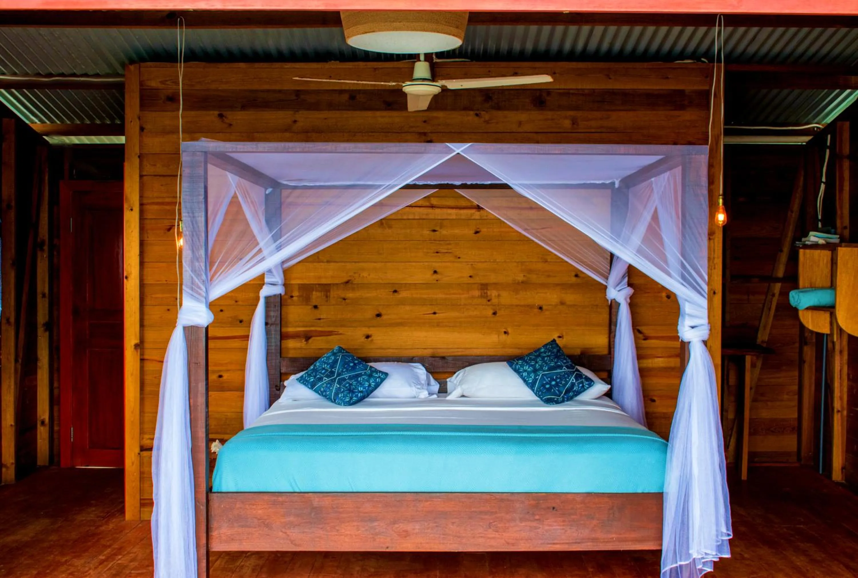 Photo of the whole room in The Sea Monkey