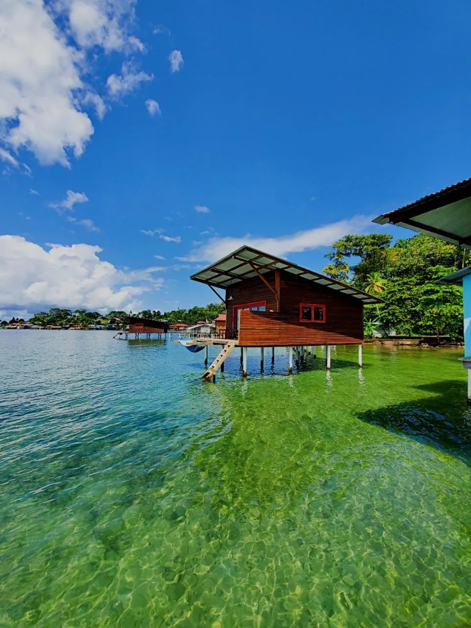 View (from property/room) in The Sea Monkey