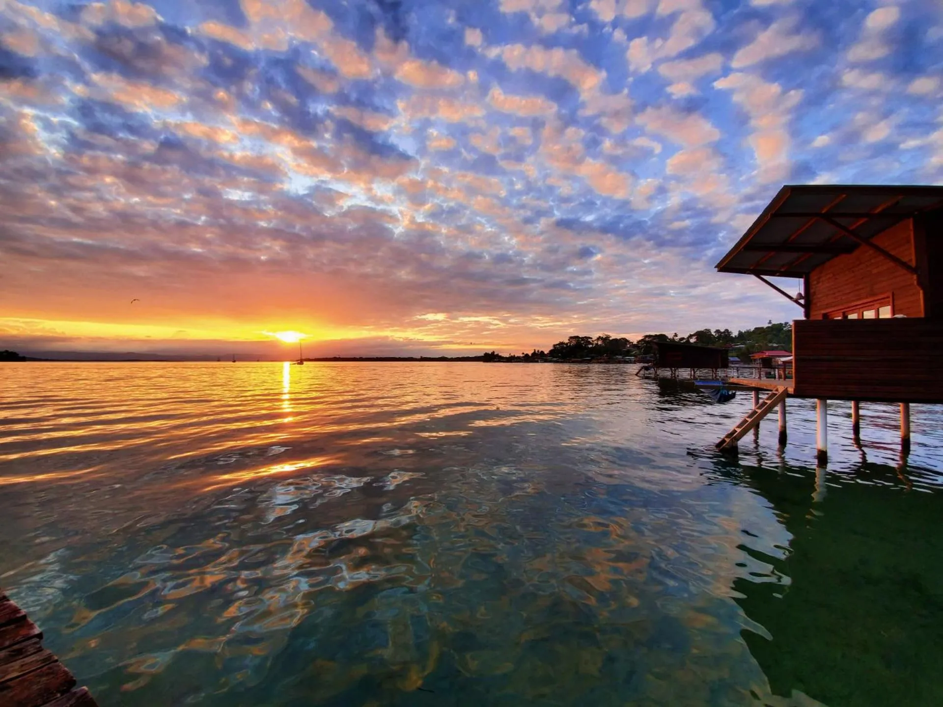 Property building in The Sea Monkey