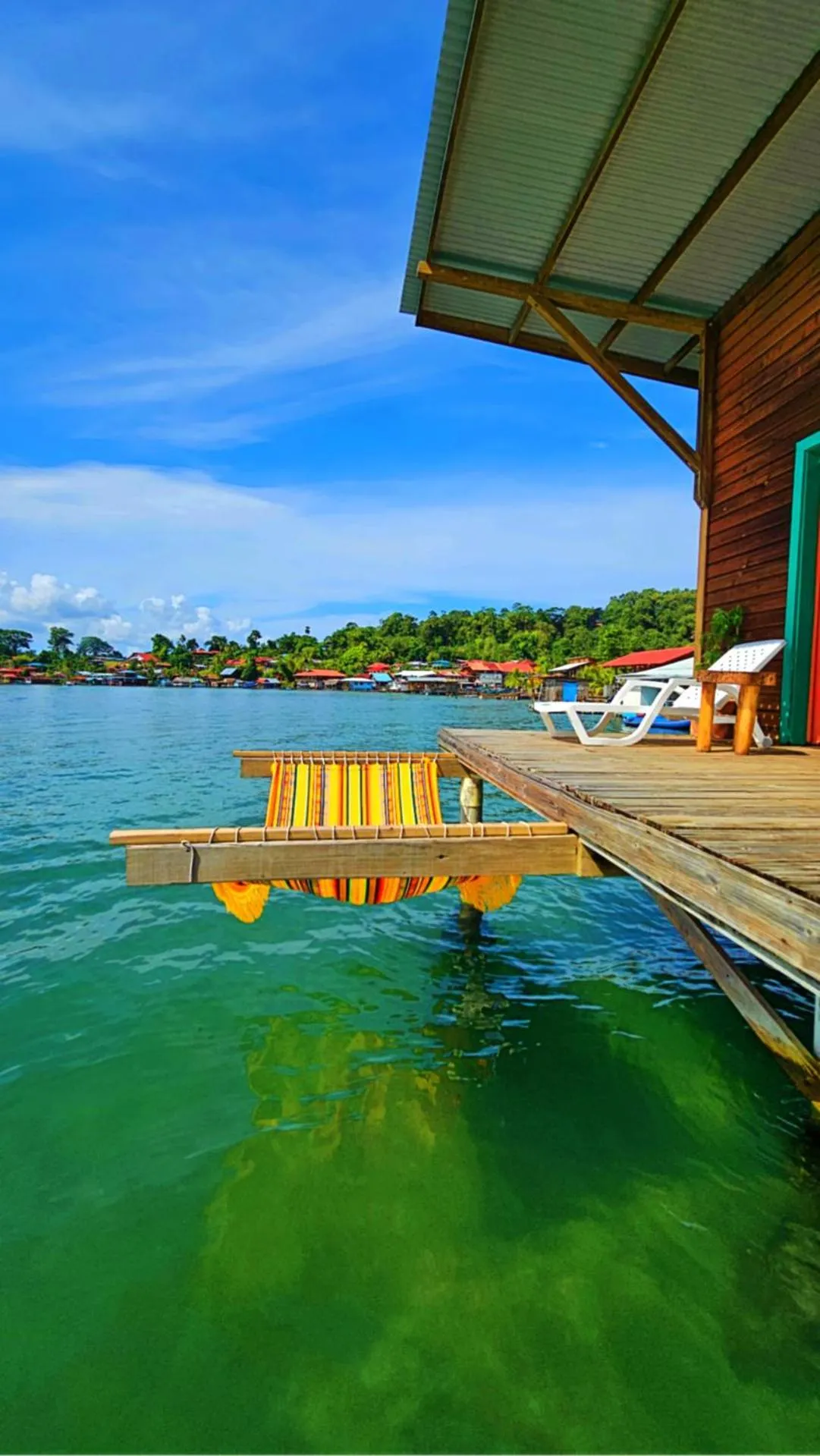 View (from property/room) in The Sea Monkey