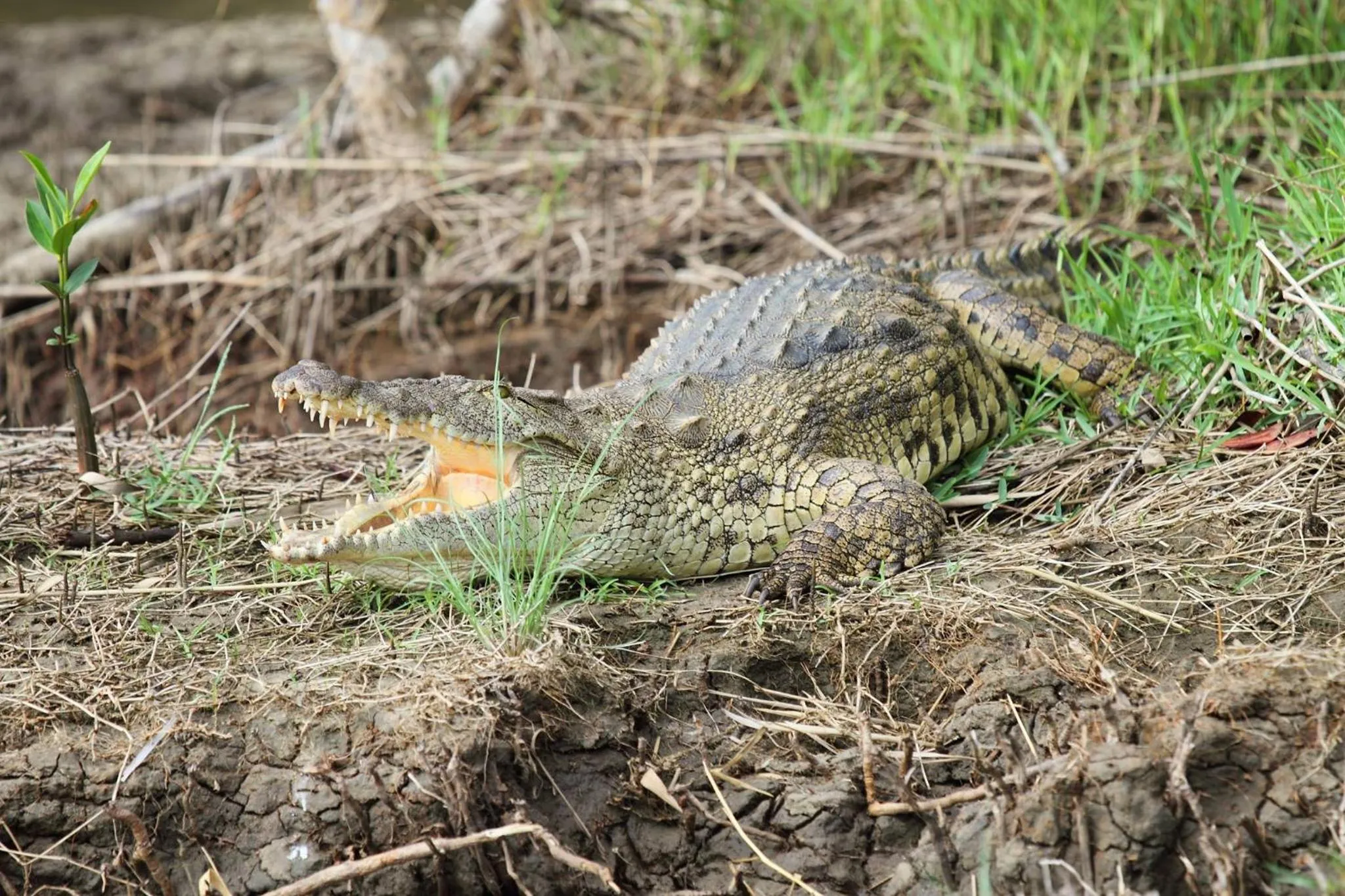 Natural landscape in Whalesong Guest House