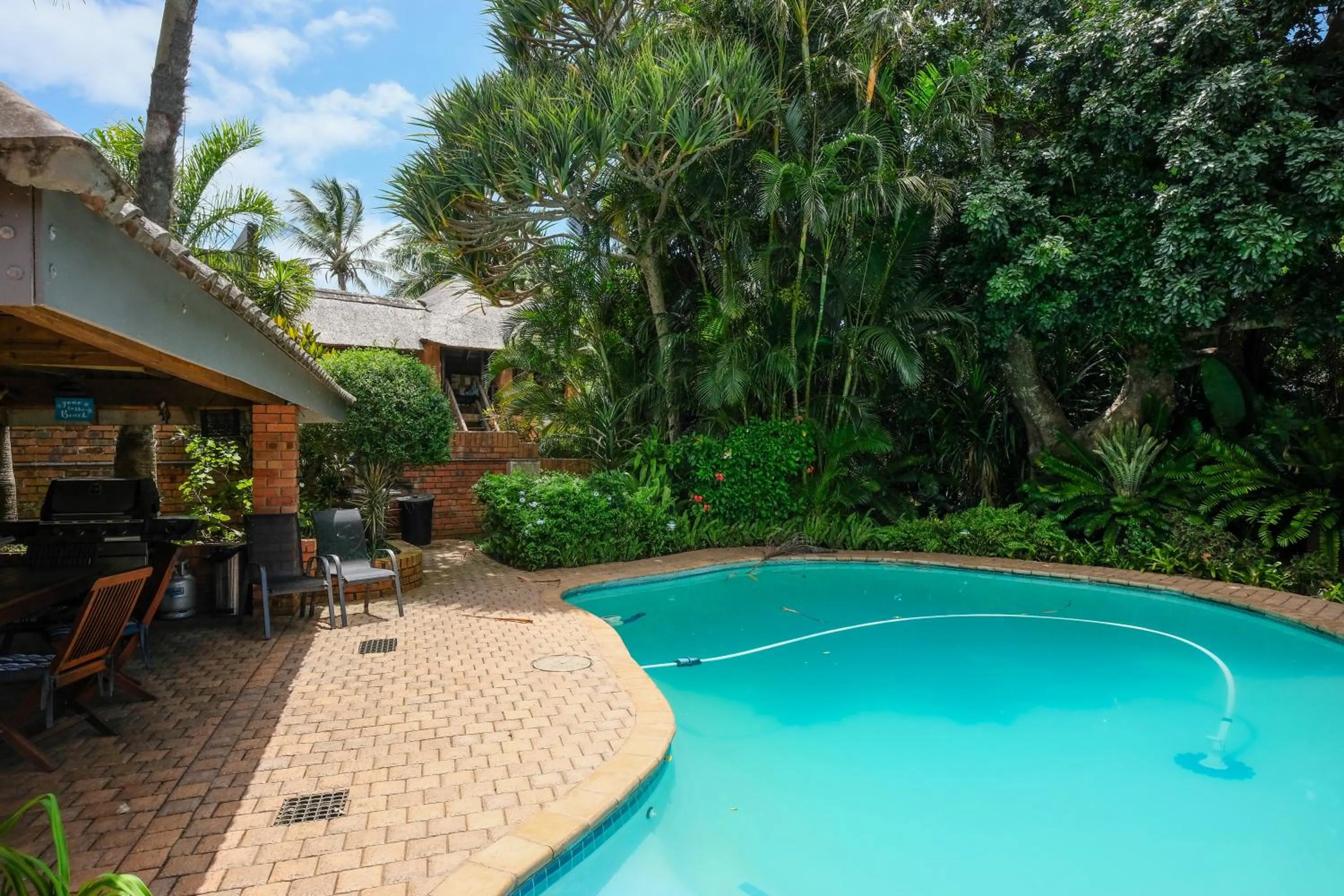 Garden view in Whalesong Guest House