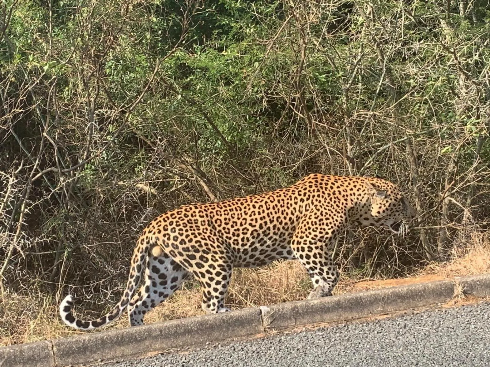 Activities in Whalesong Guest House