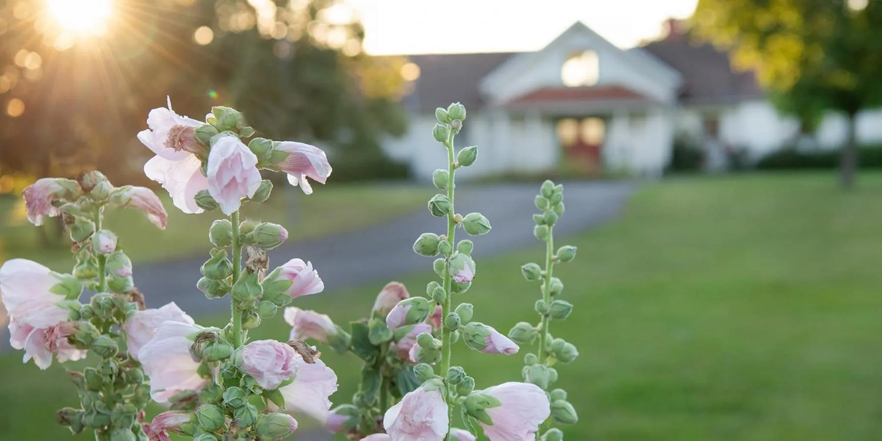 Property building in Två Skyttlar