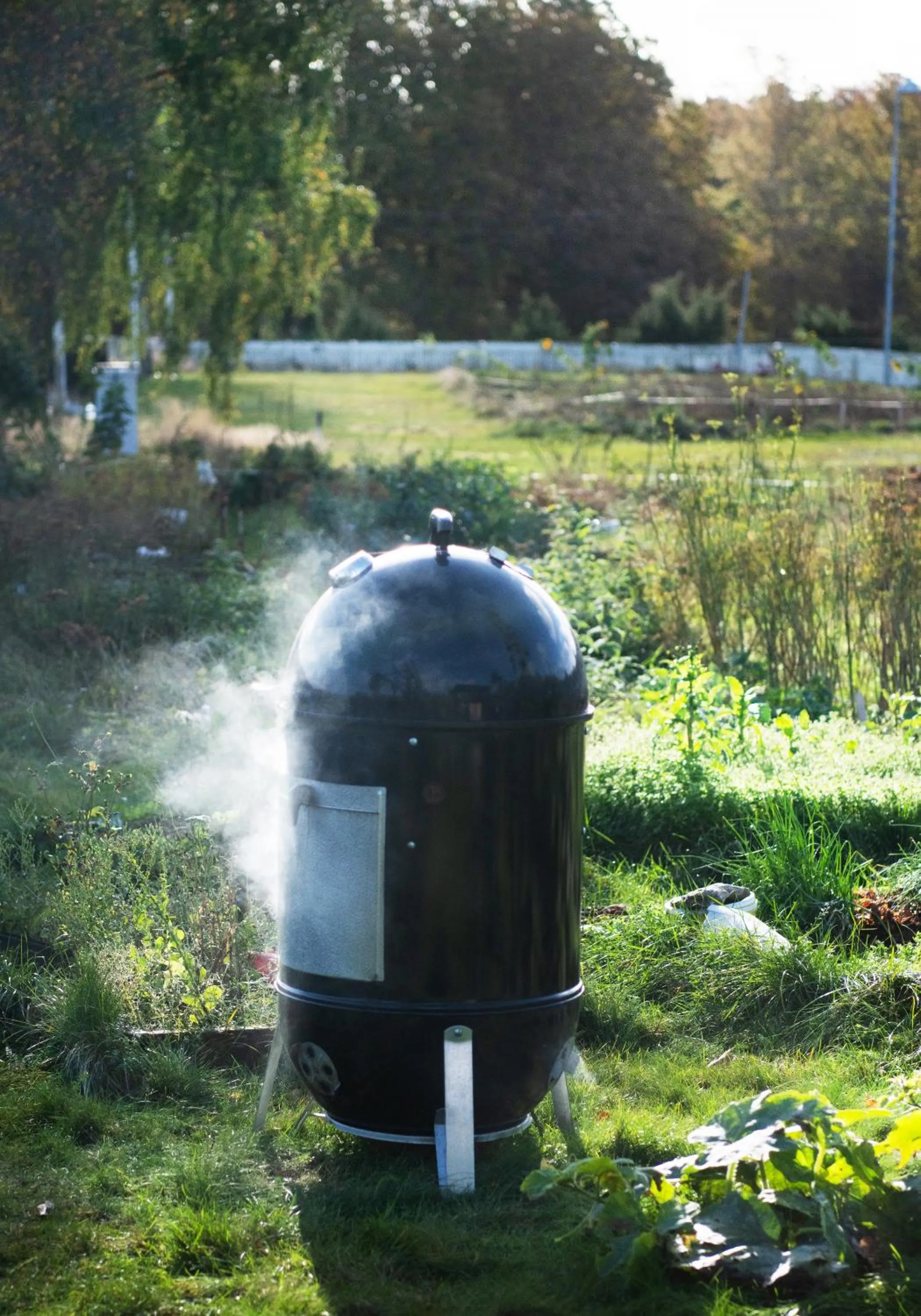 Food in Två Skyttlar