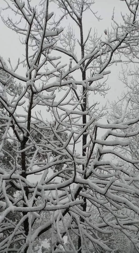 Winter in Hotel Devlok Primal