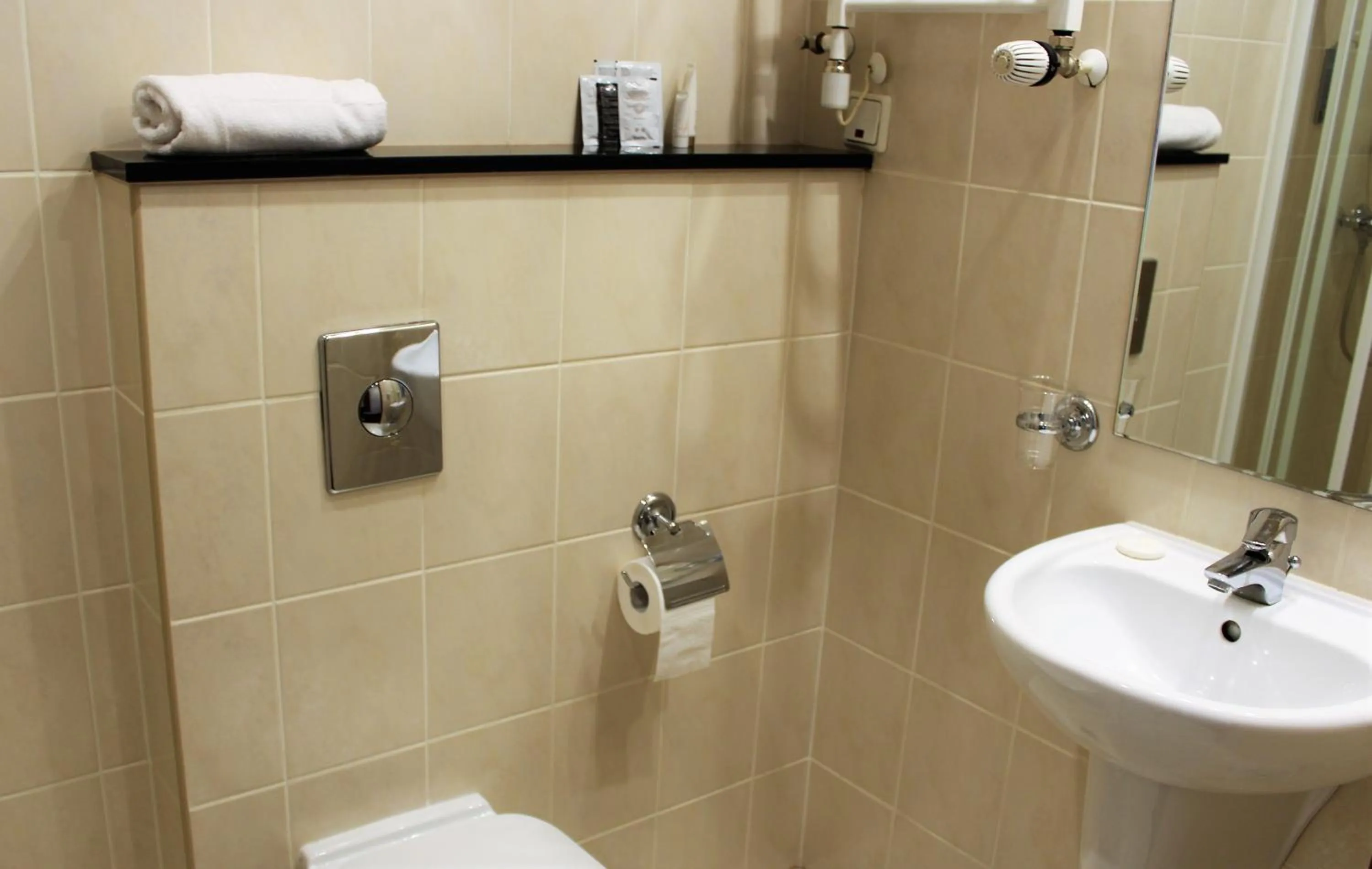 Shower in Hotel Biały