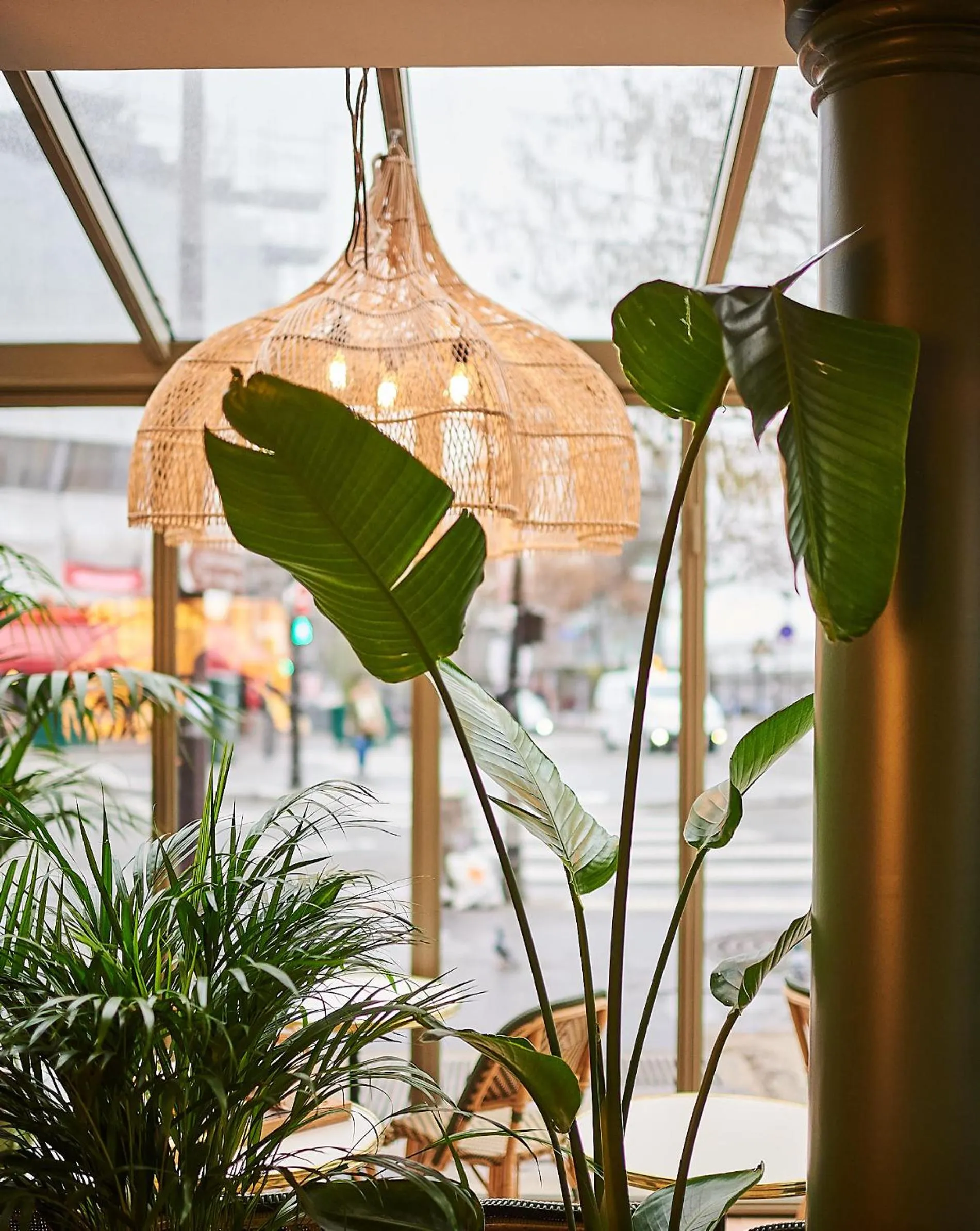 Restaurant/places to eat in Maison Eugenie