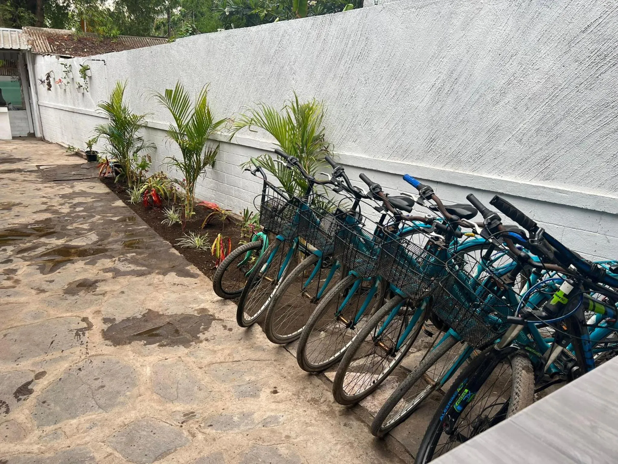 Cycling in Gili Davidoff Bungalow