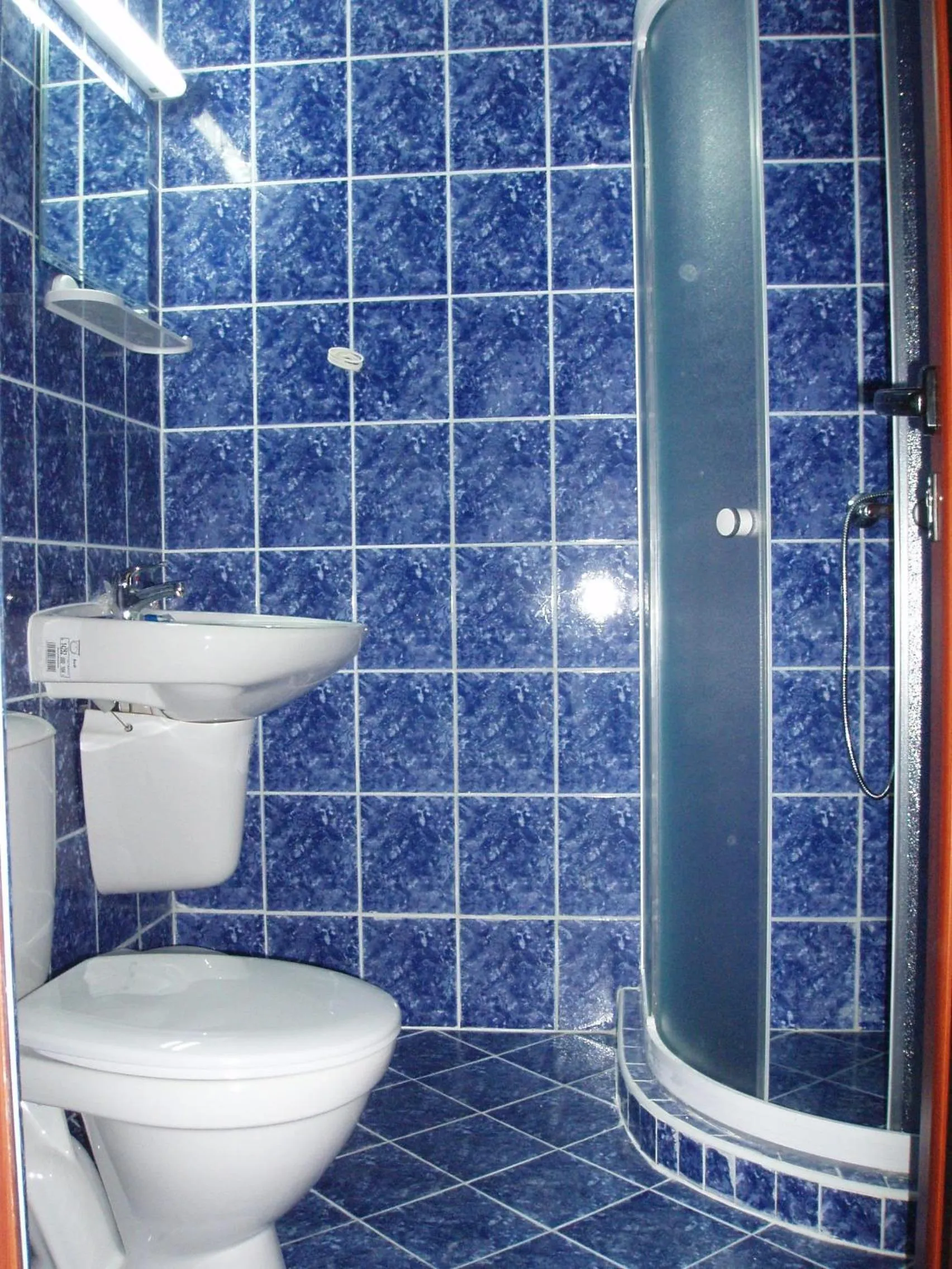 Toilet in Hotel Veronika