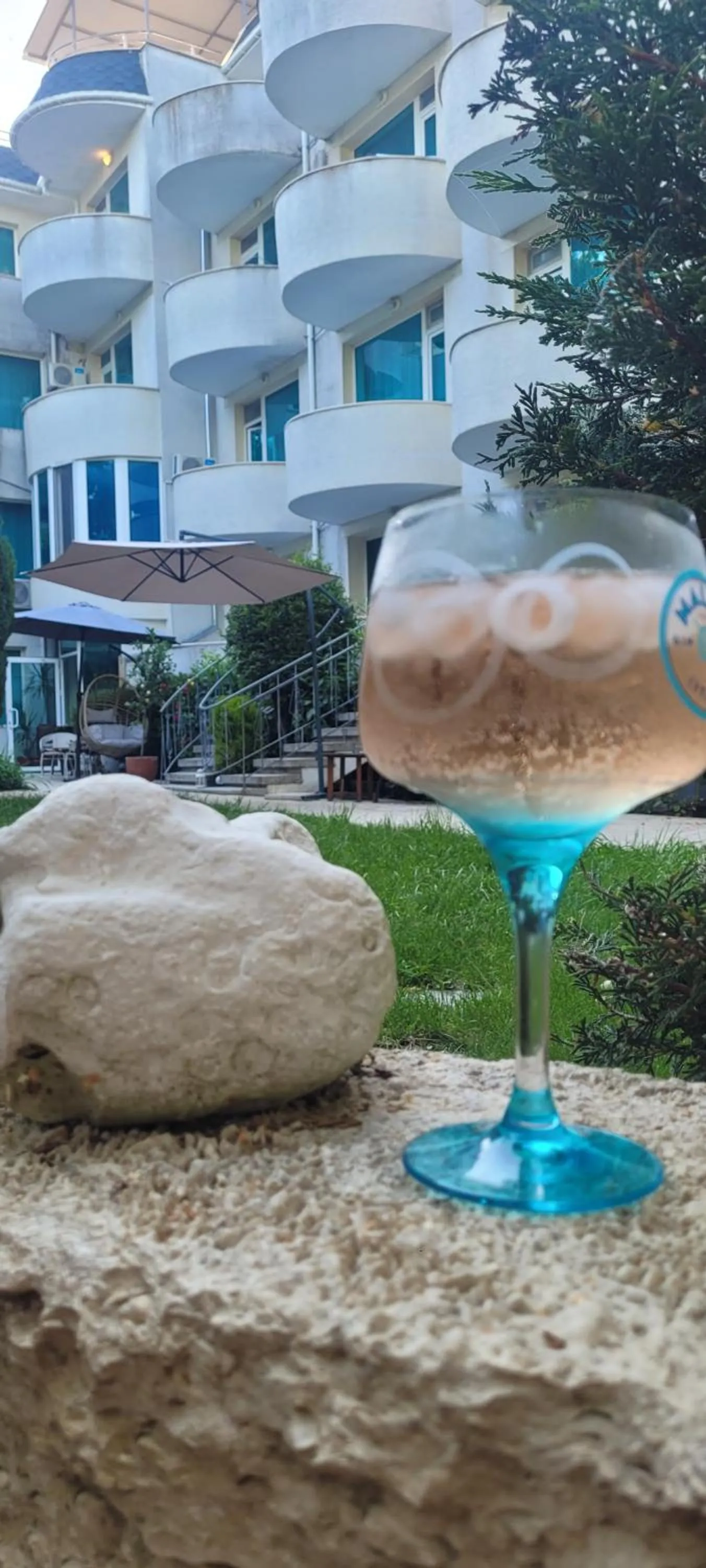 Garden in Hotel Veronika