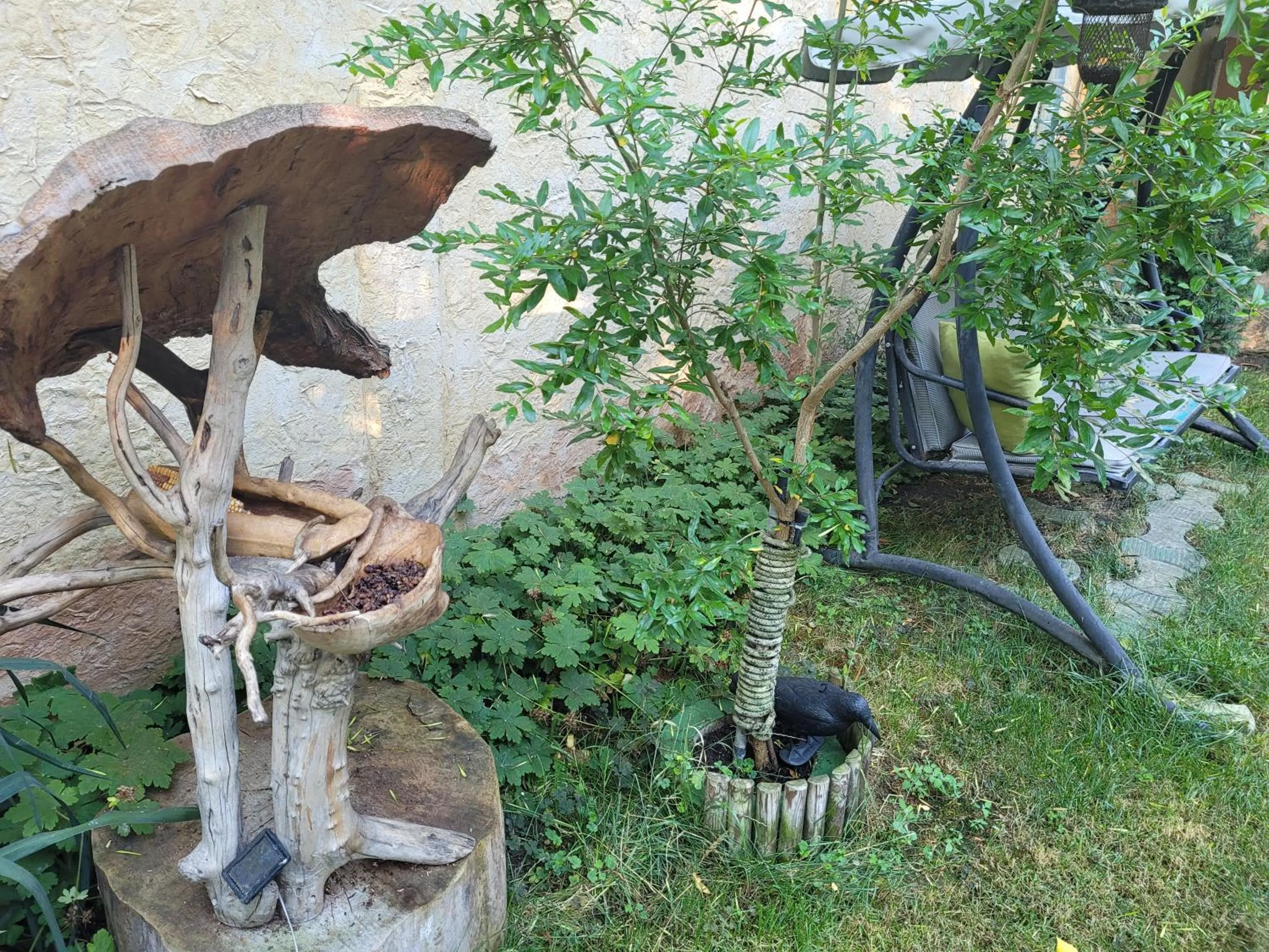 Garden in Hotel Veronika