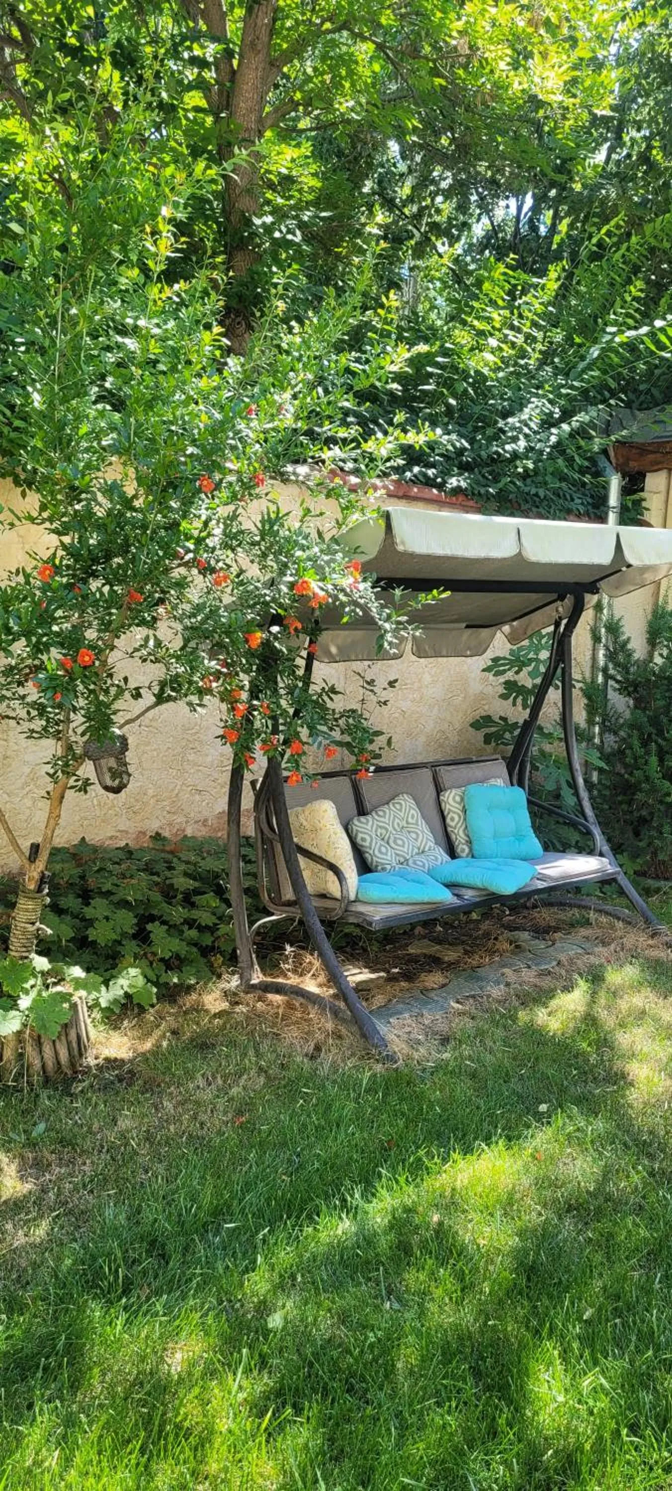 Garden in Hotel Veronika