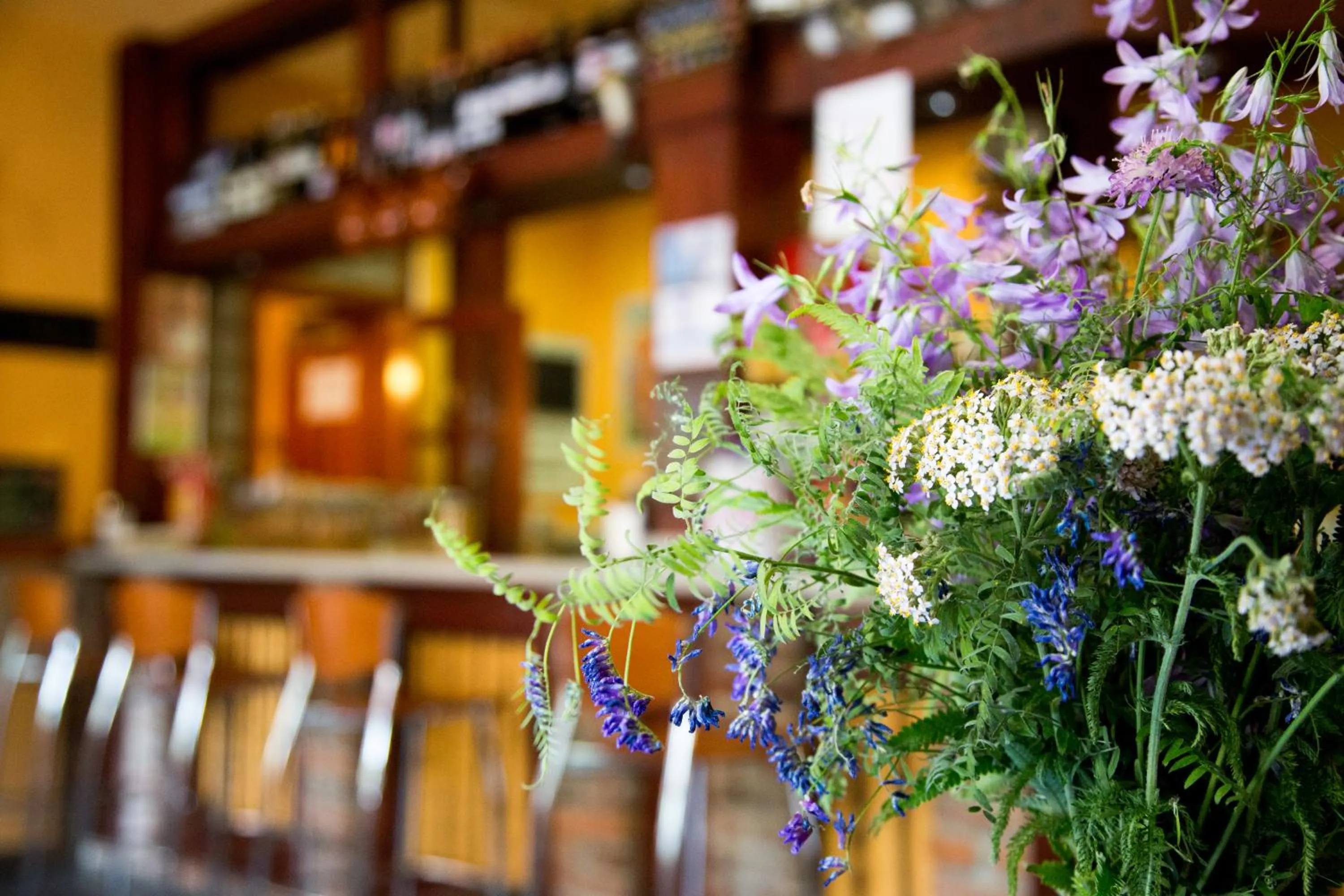 Hiking in Hotel Balcon de Aguera