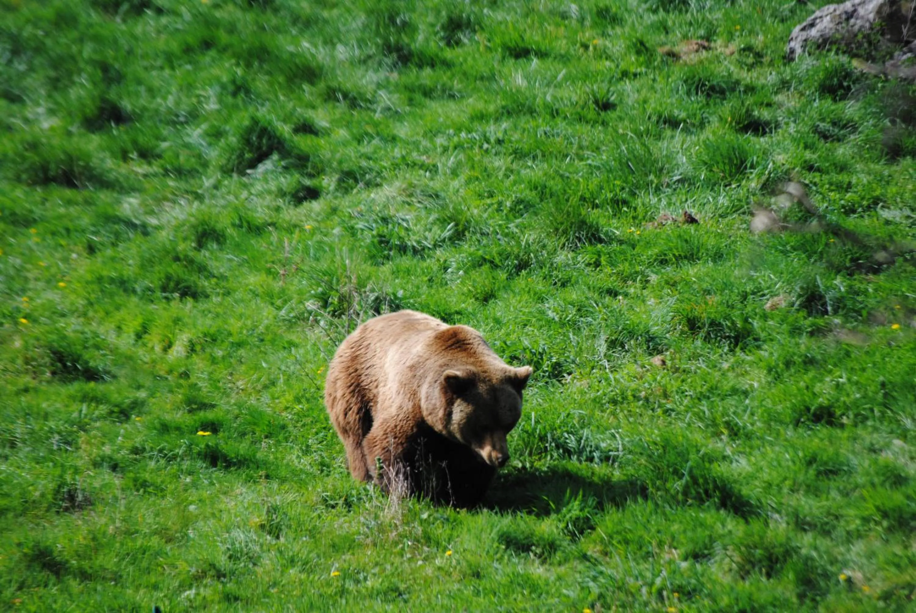 Hiking in Hotel Balcon de Aguera