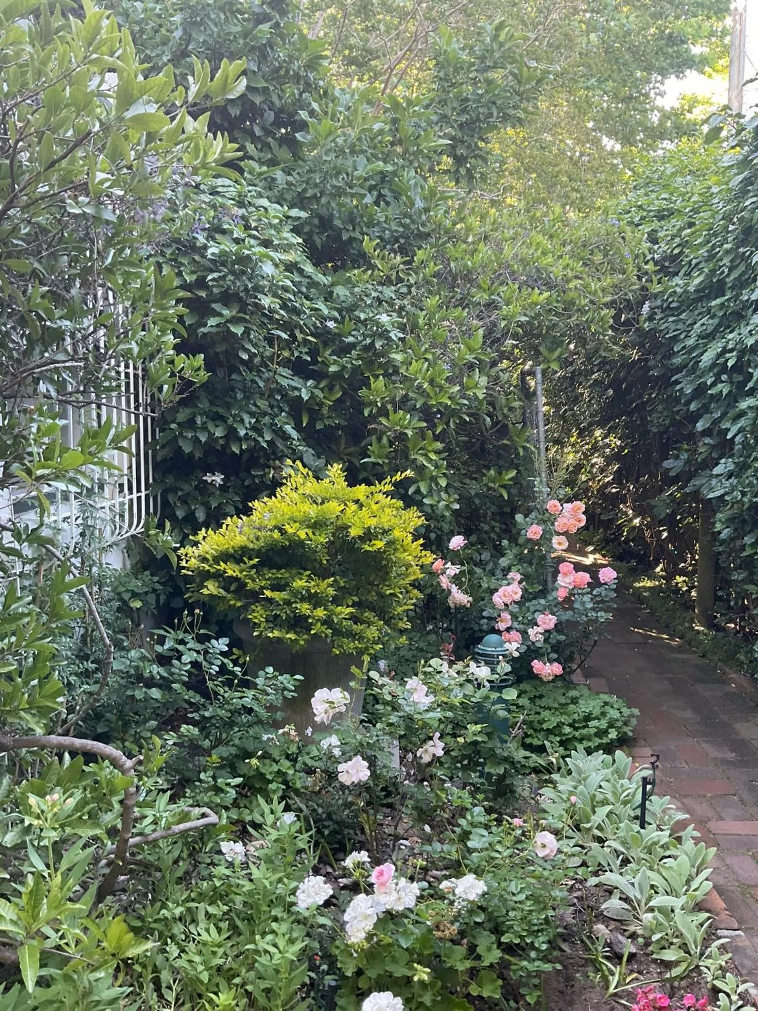 Spring in Sandown Lodge