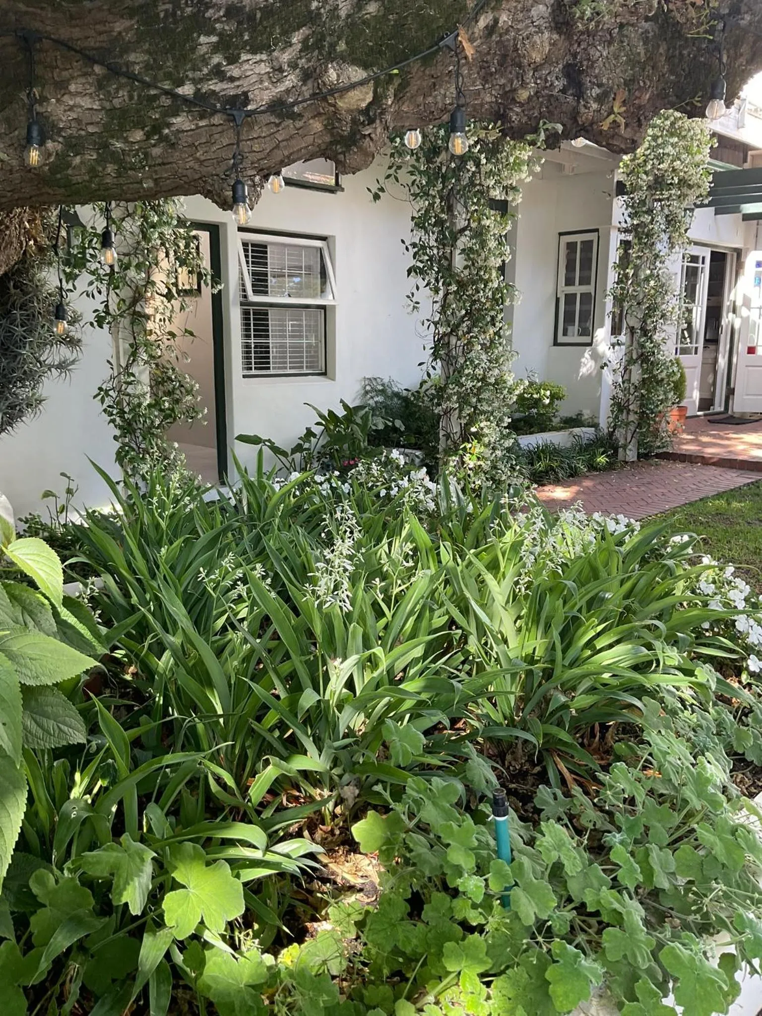 Property building in Sandown Lodge