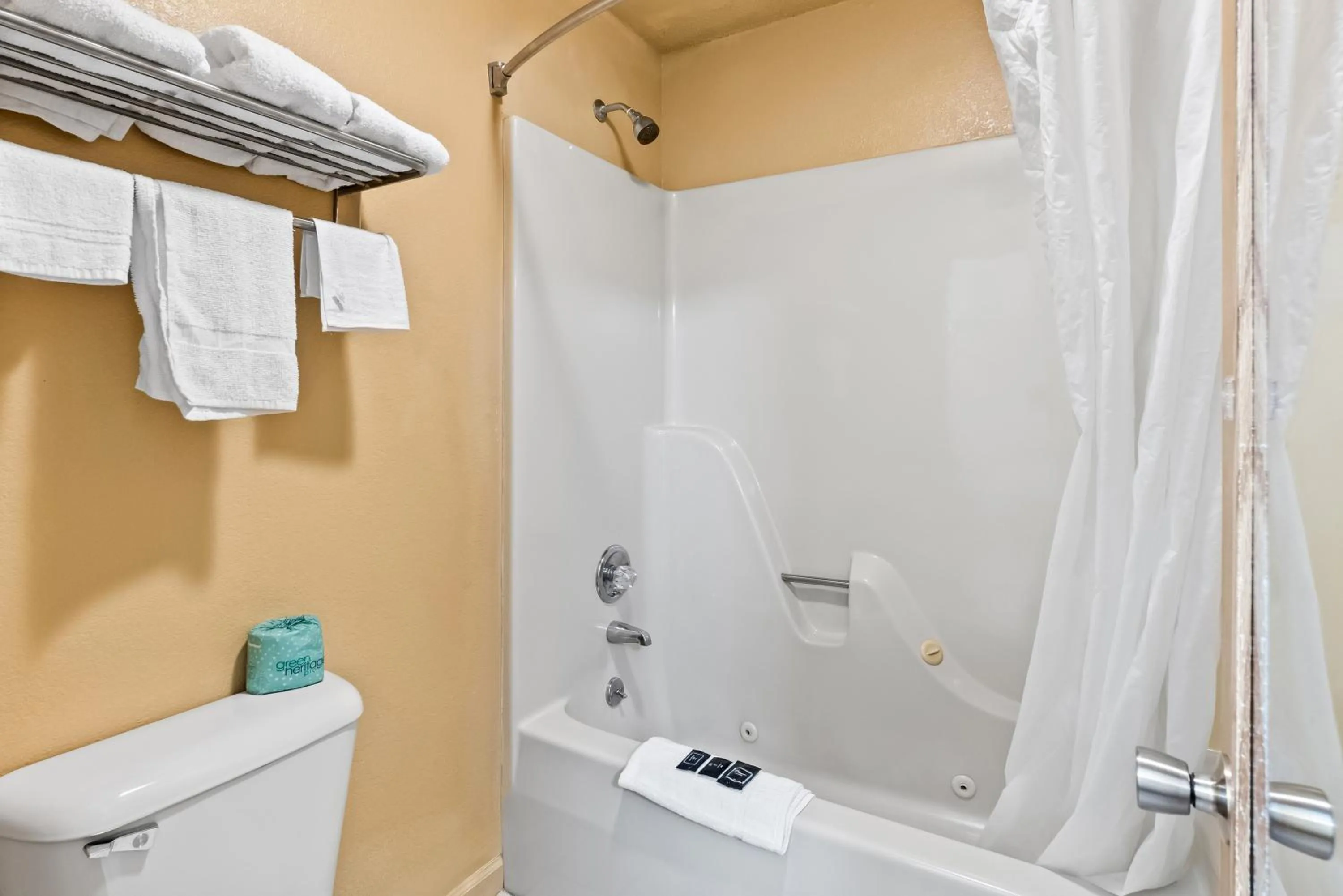 Shower in America's Best Value Inn-Athens