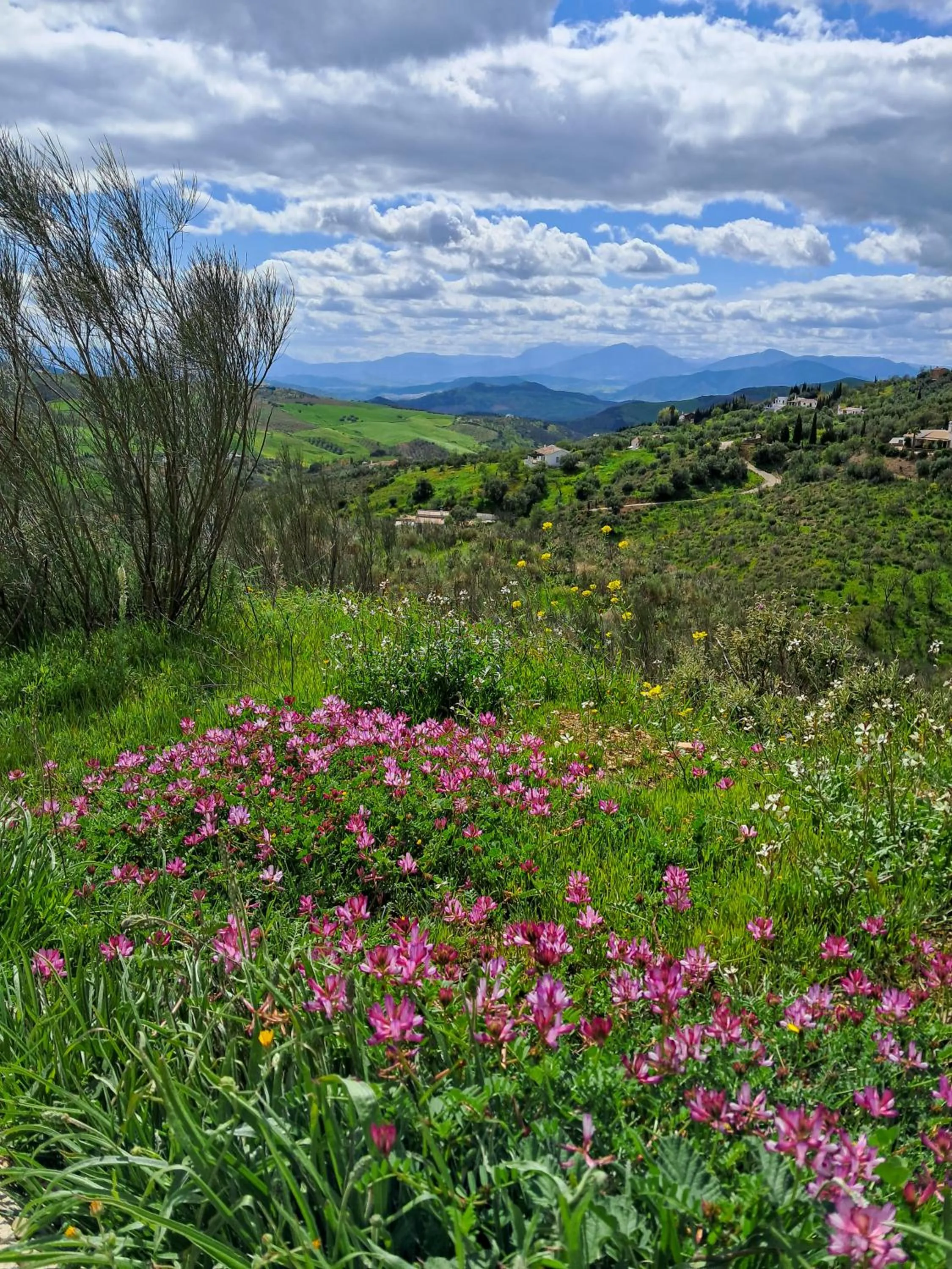 Spring in Finca Amorosa