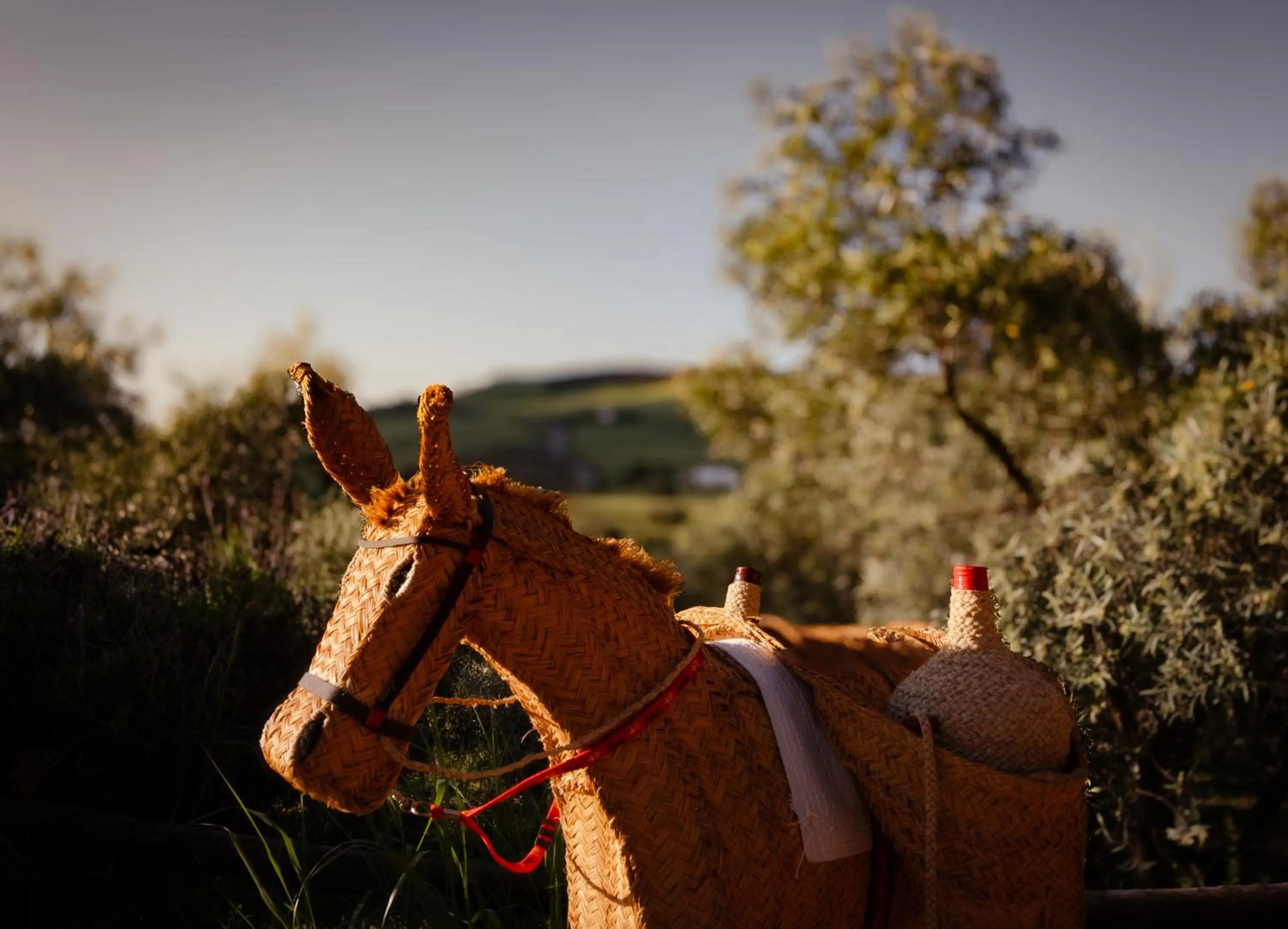 Guests in Finca Amorosa