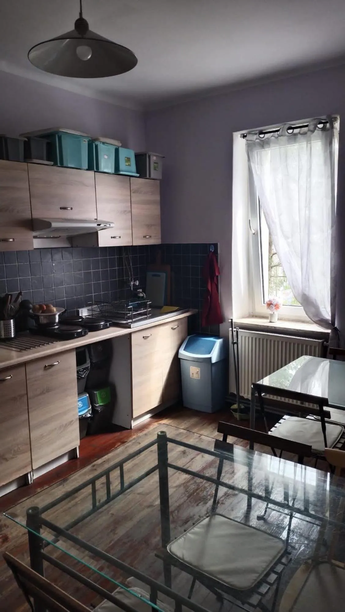 Kitchen or kitchenette in Willa Retro Hostel & Garden