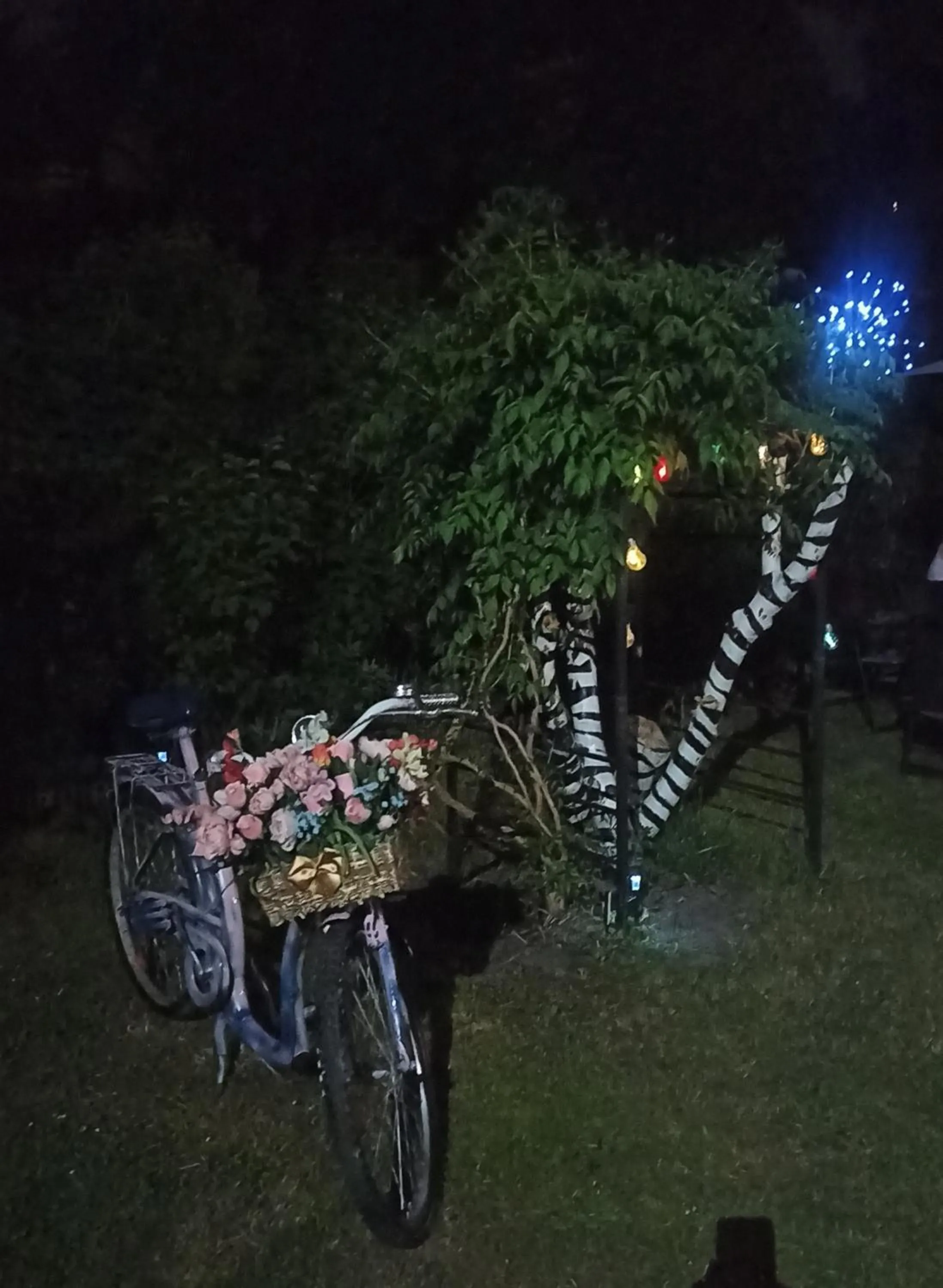 Patio in Willa Retro Hostel & Garden