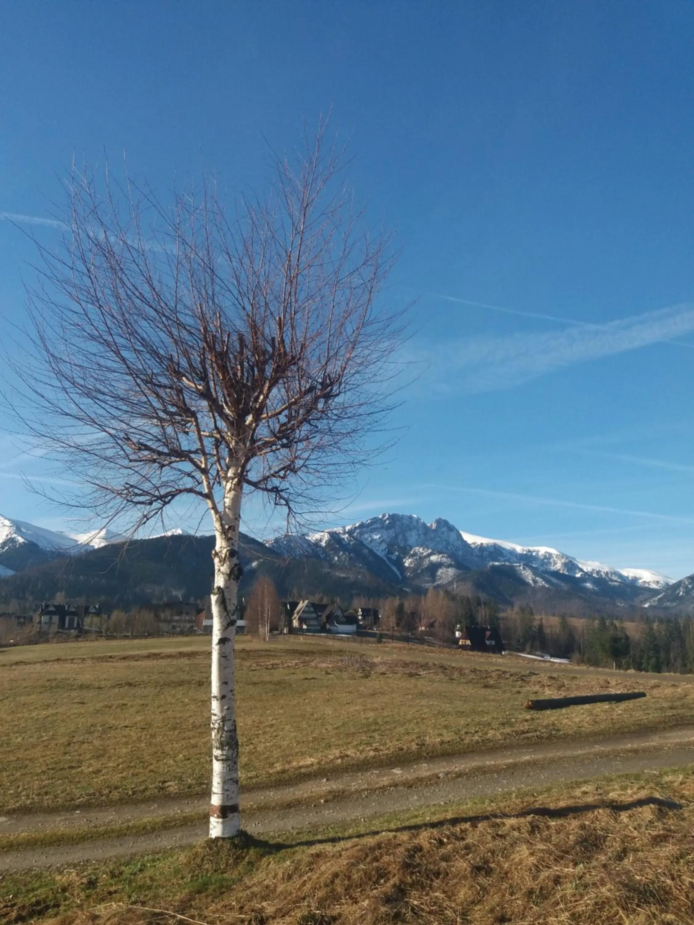 Willa u Kośle Zakopane