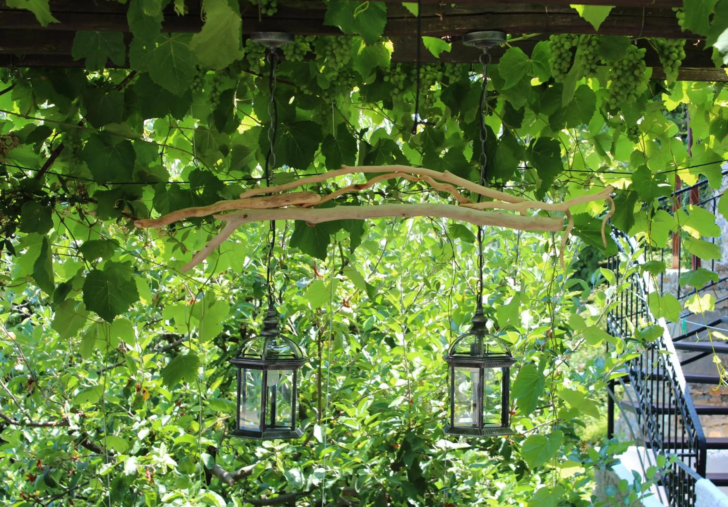 Garden in Olga Hotel Mouresi