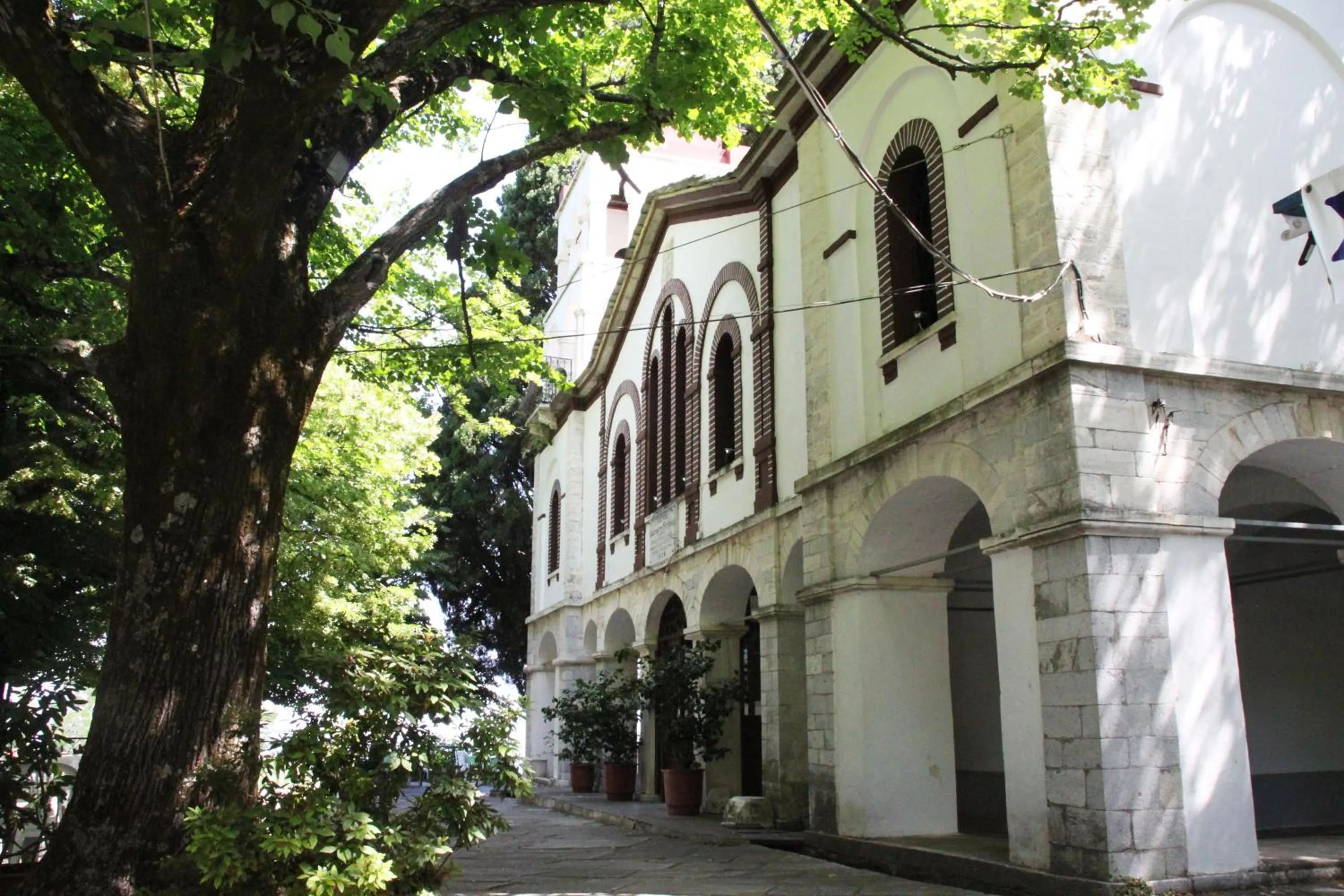 Area and facilities in Olga Hotel Mouresi