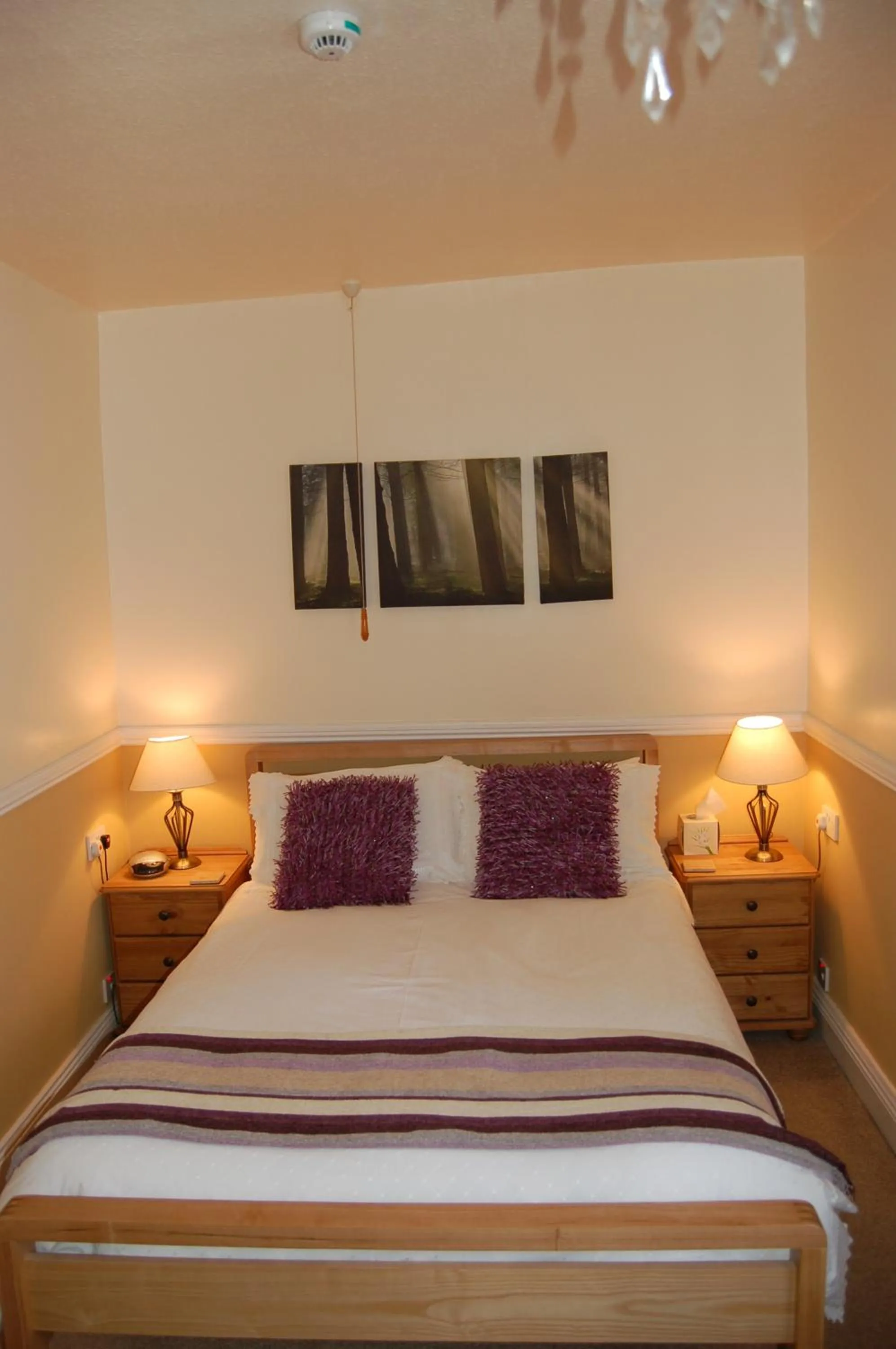 Photo of the whole room, Bed in Compton House