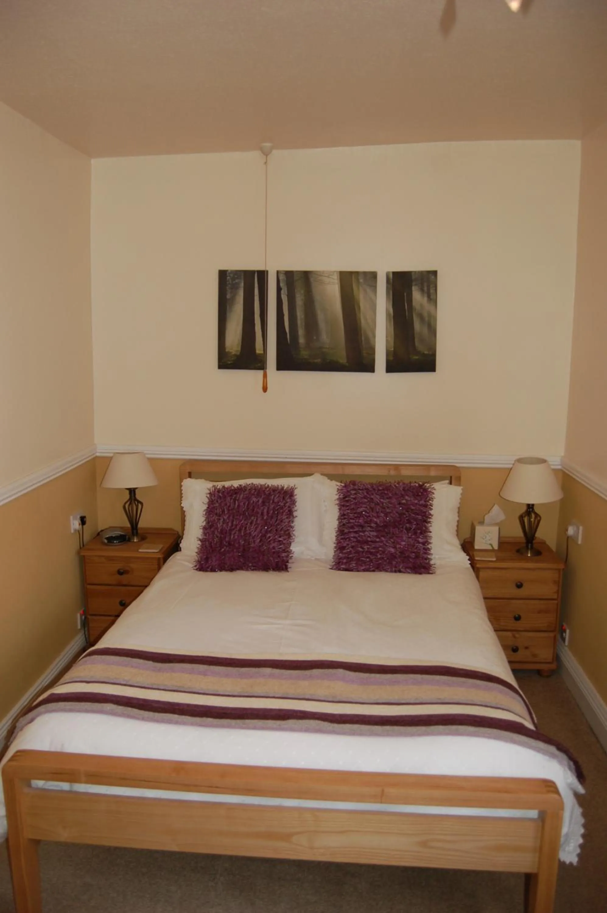 Photo of the whole room, Bed in Compton House