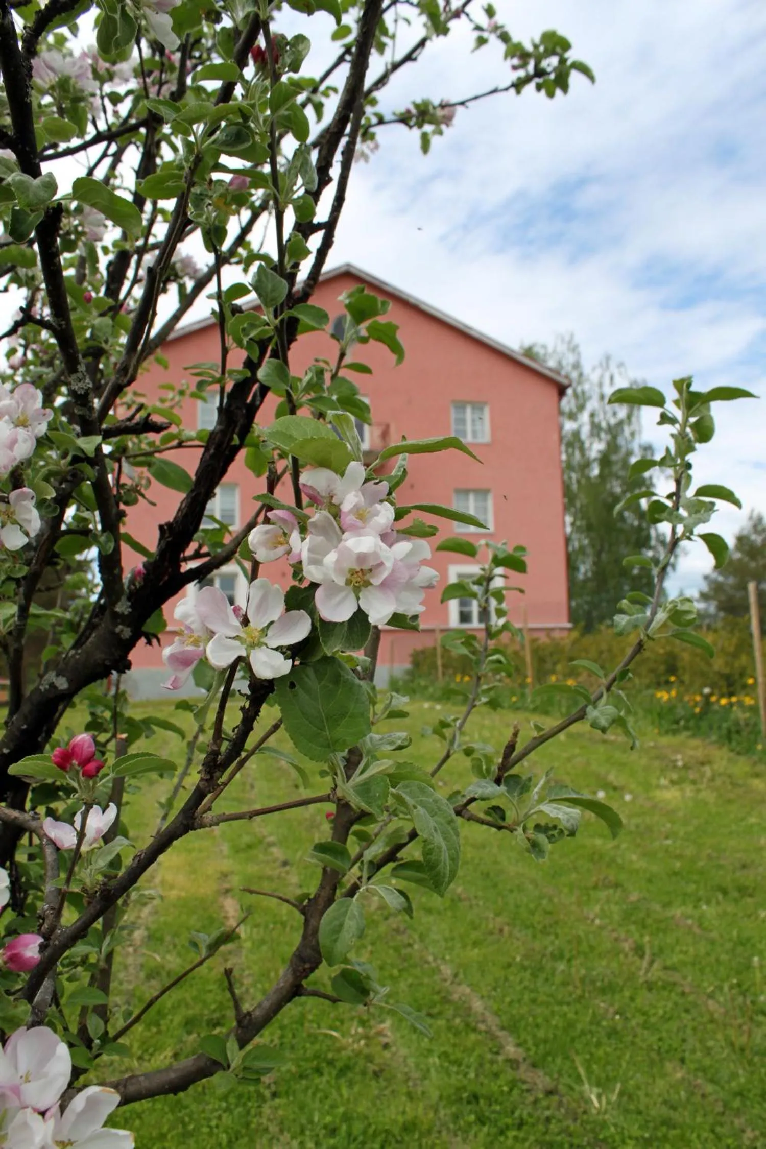 Property building in Vanha Koulu