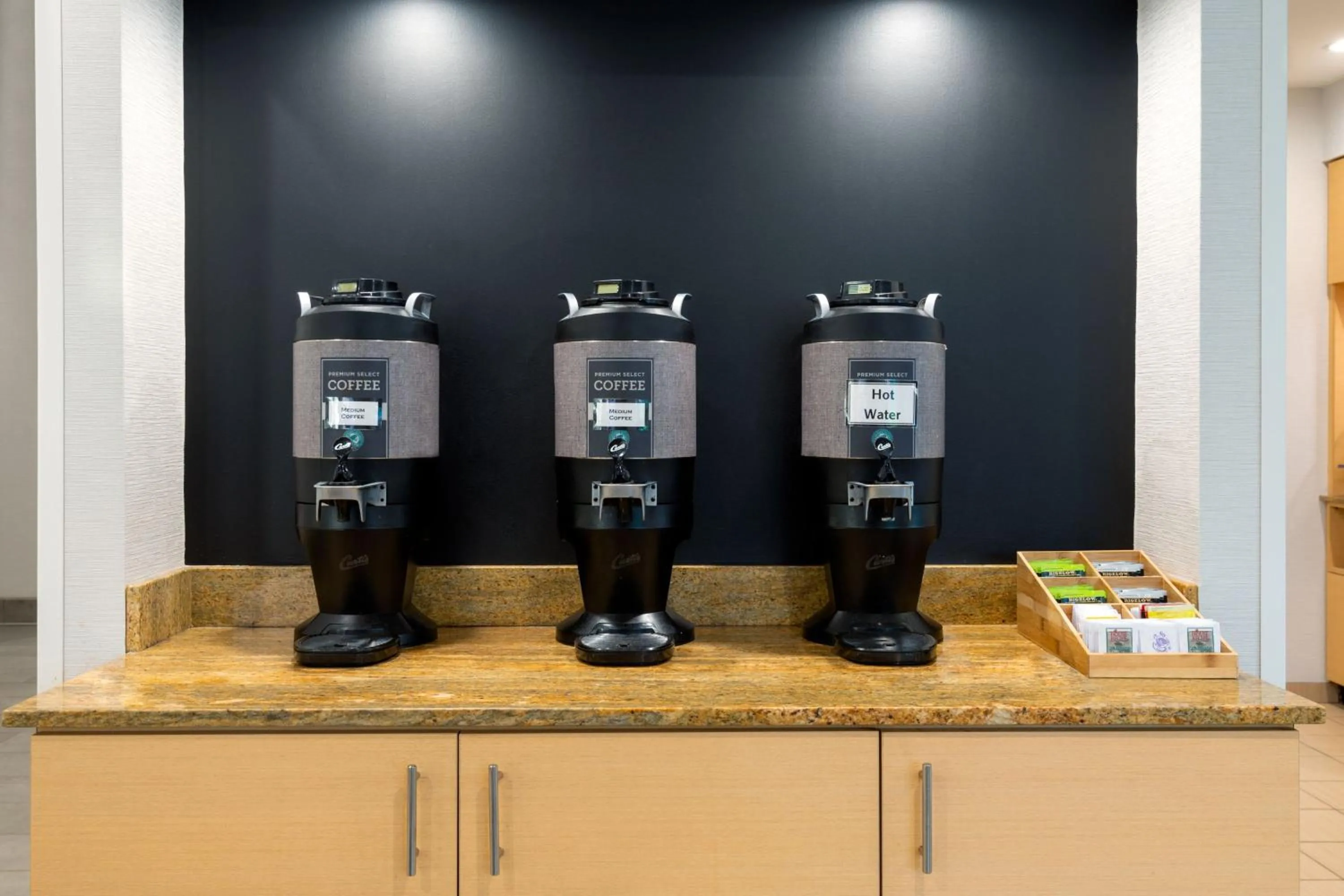 Other in TownePlace Suites Buffalo Airport