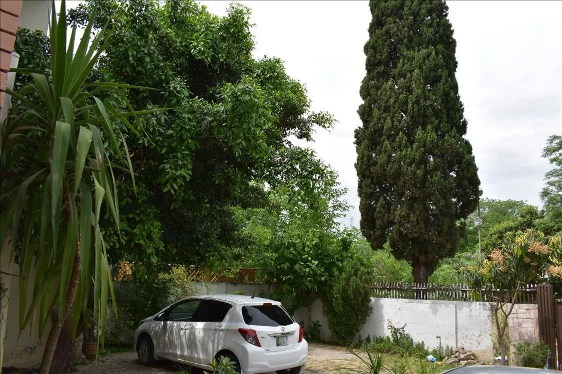 View (from property/room) in Tulip guesthouse