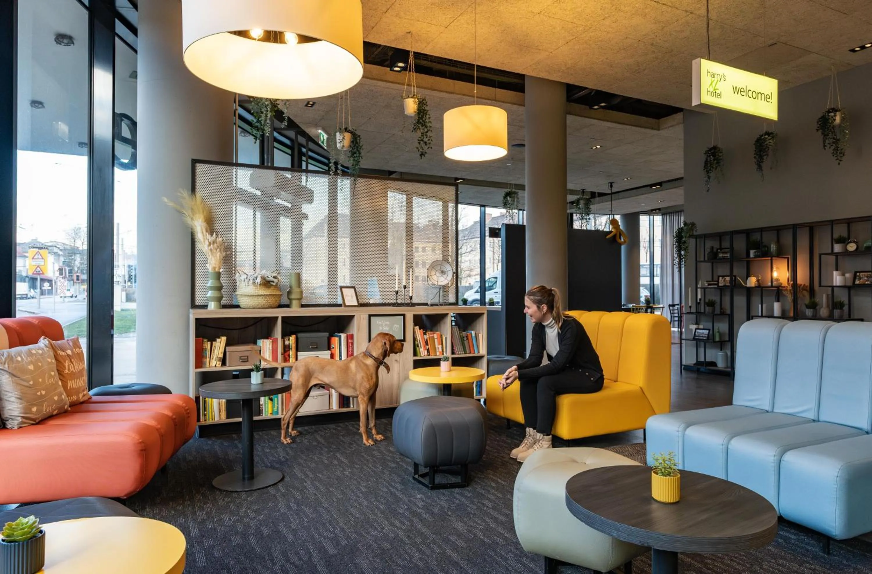 Lobby or reception in harry's home Salzburg