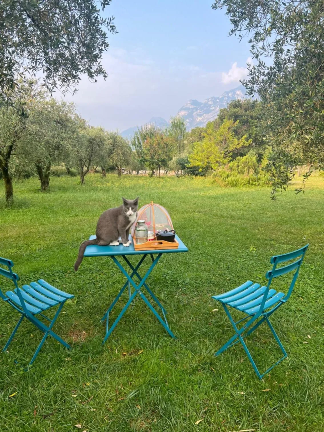 Garden view in Da La Babi B&B