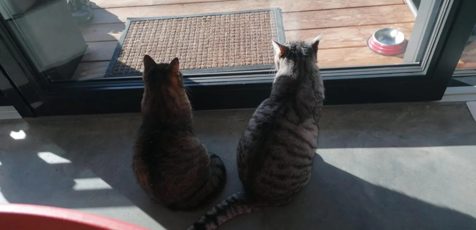 Animals in Da La Babi B&B