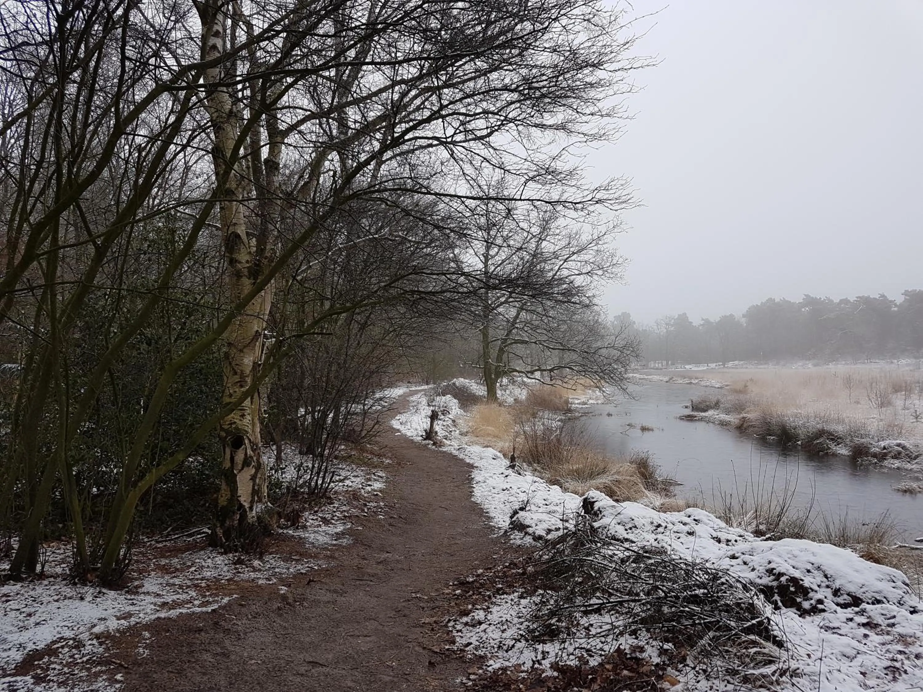 Natural landscape in De Heidestroper