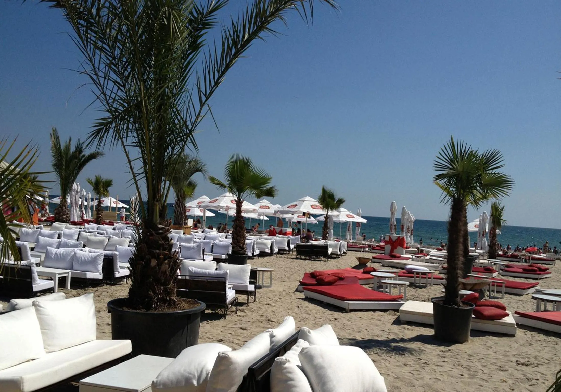 Other in Summerland Mamaia