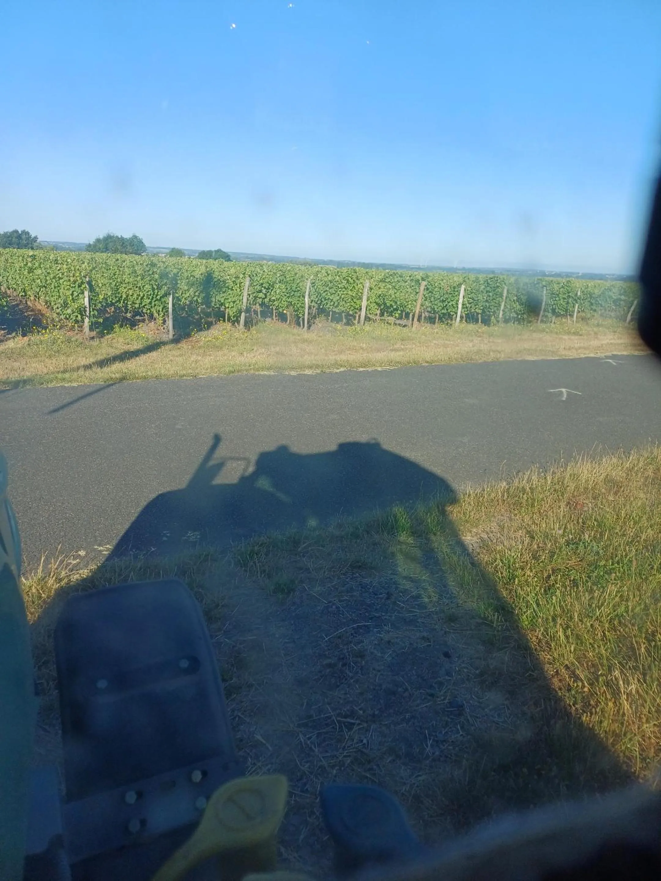 Other in Le Logis du Livier