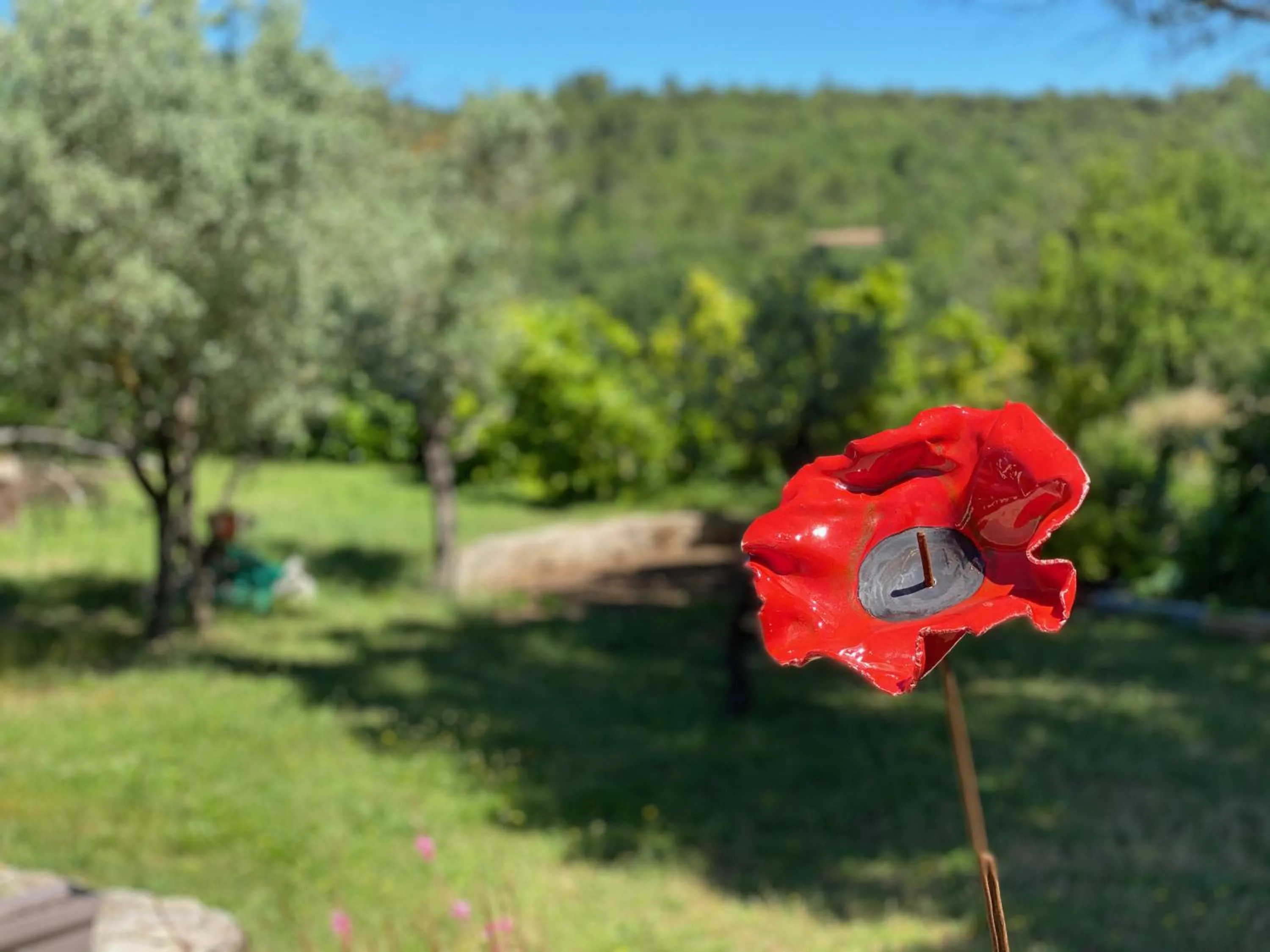 Garden in Le mas de la diligence