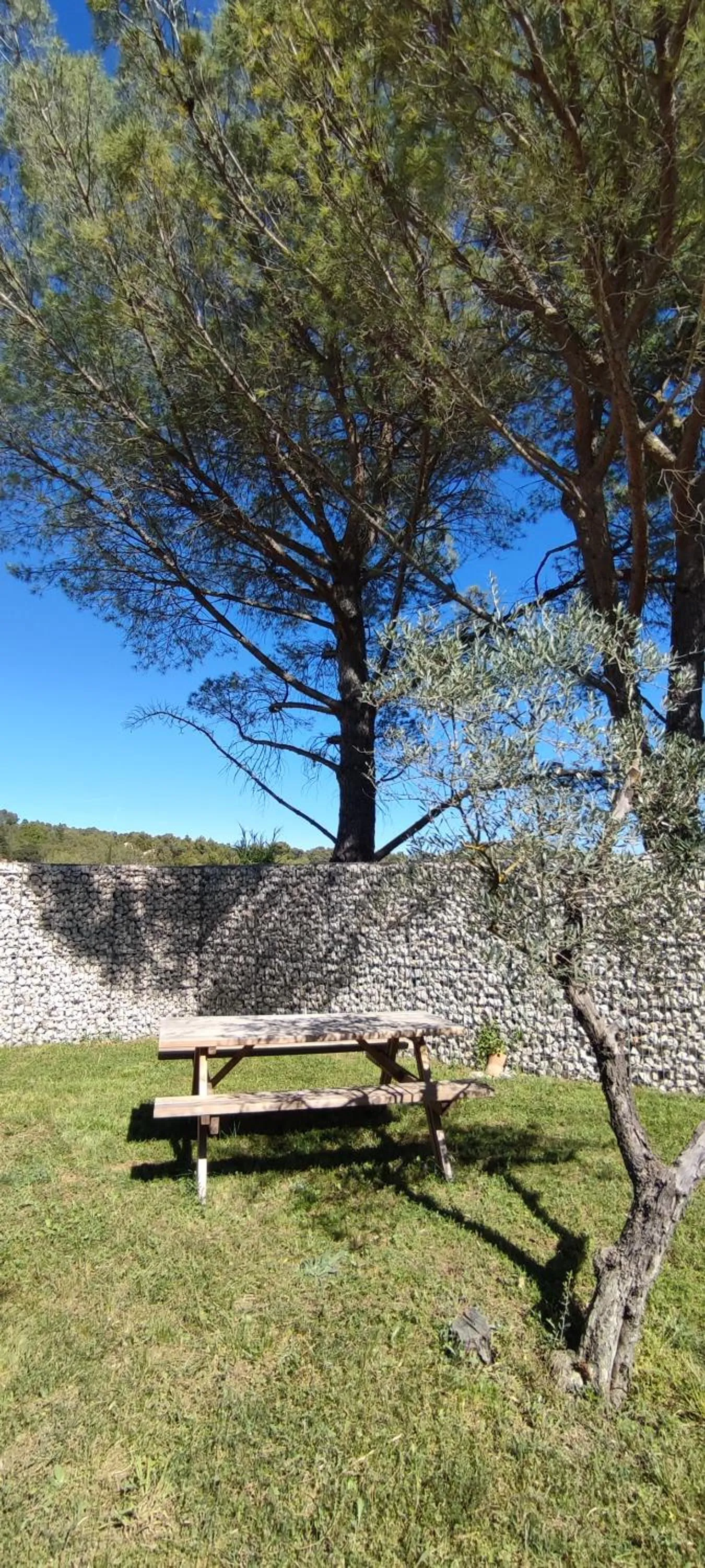 Garden in Le mas de la diligence