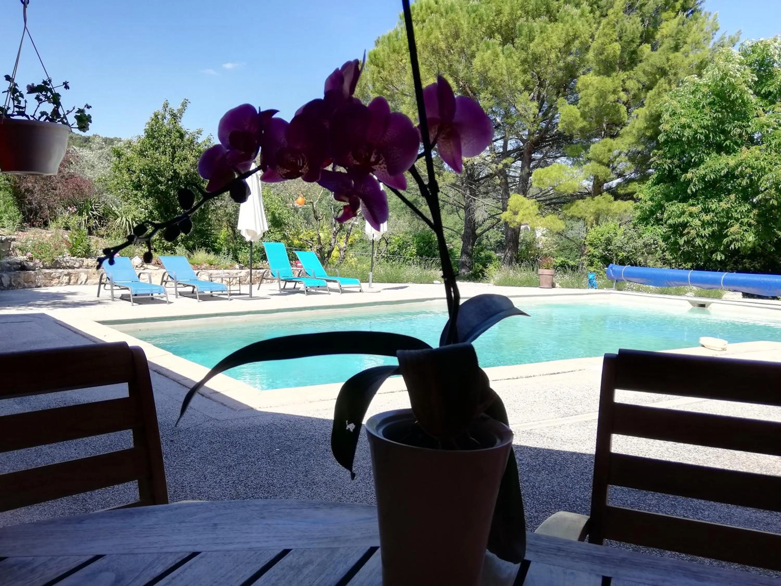 Pool view in Le mas de la diligence